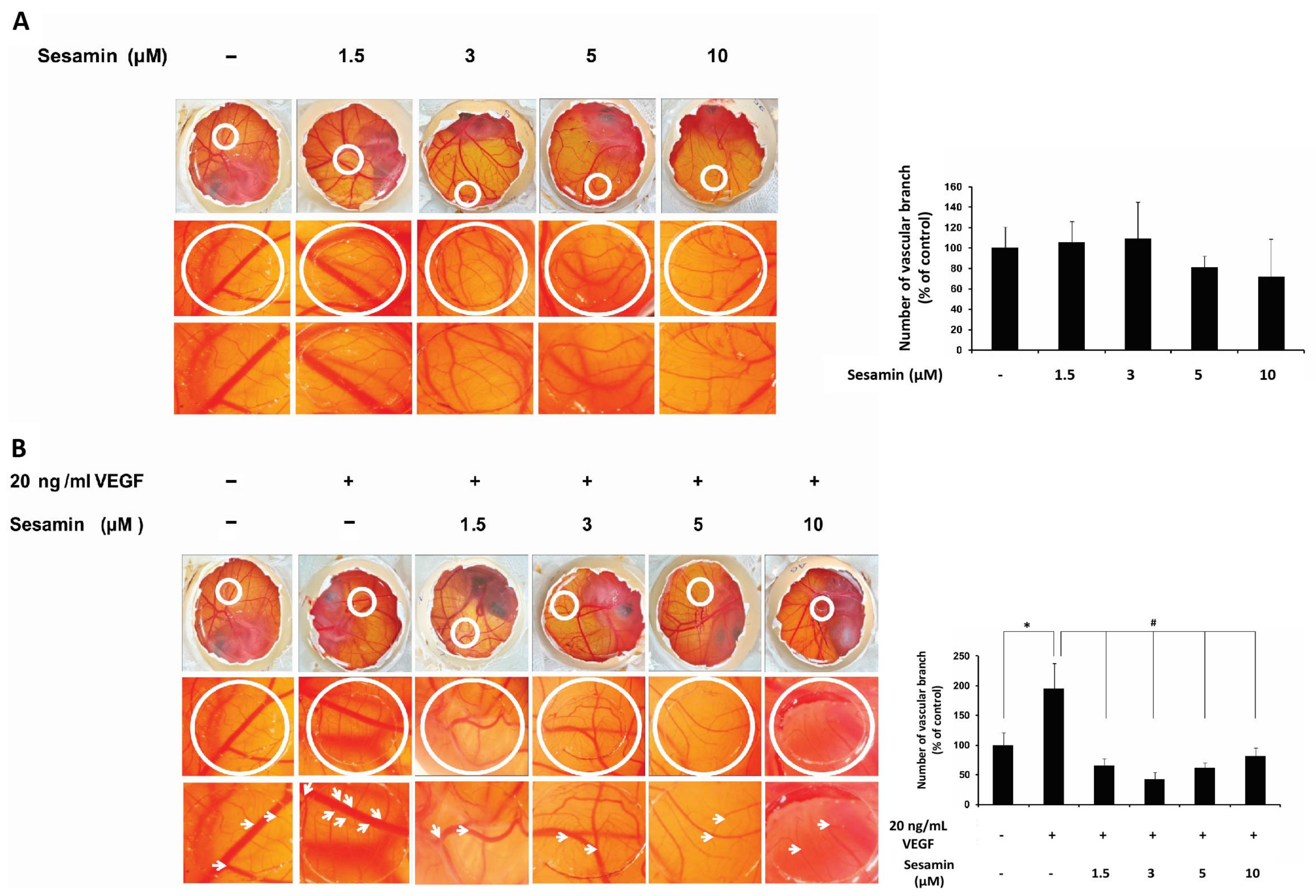 PDF) Ex vivo model exhibits protective effects of sesamin against