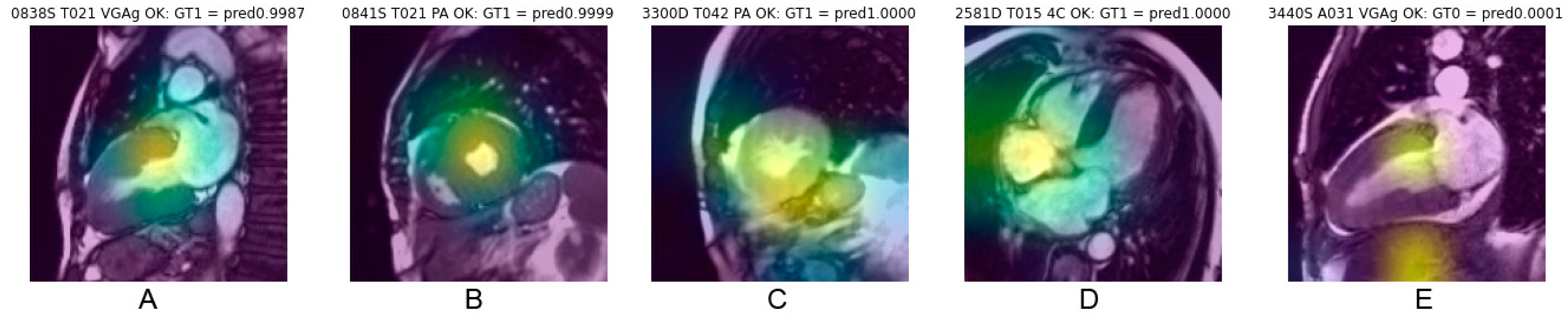 Biomedicines 11 00193 g005 Biomedicines 11 00193 g005