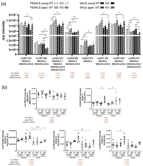 Biomedicines Free Full Text Sex Specific Patterns Of Diaphragm