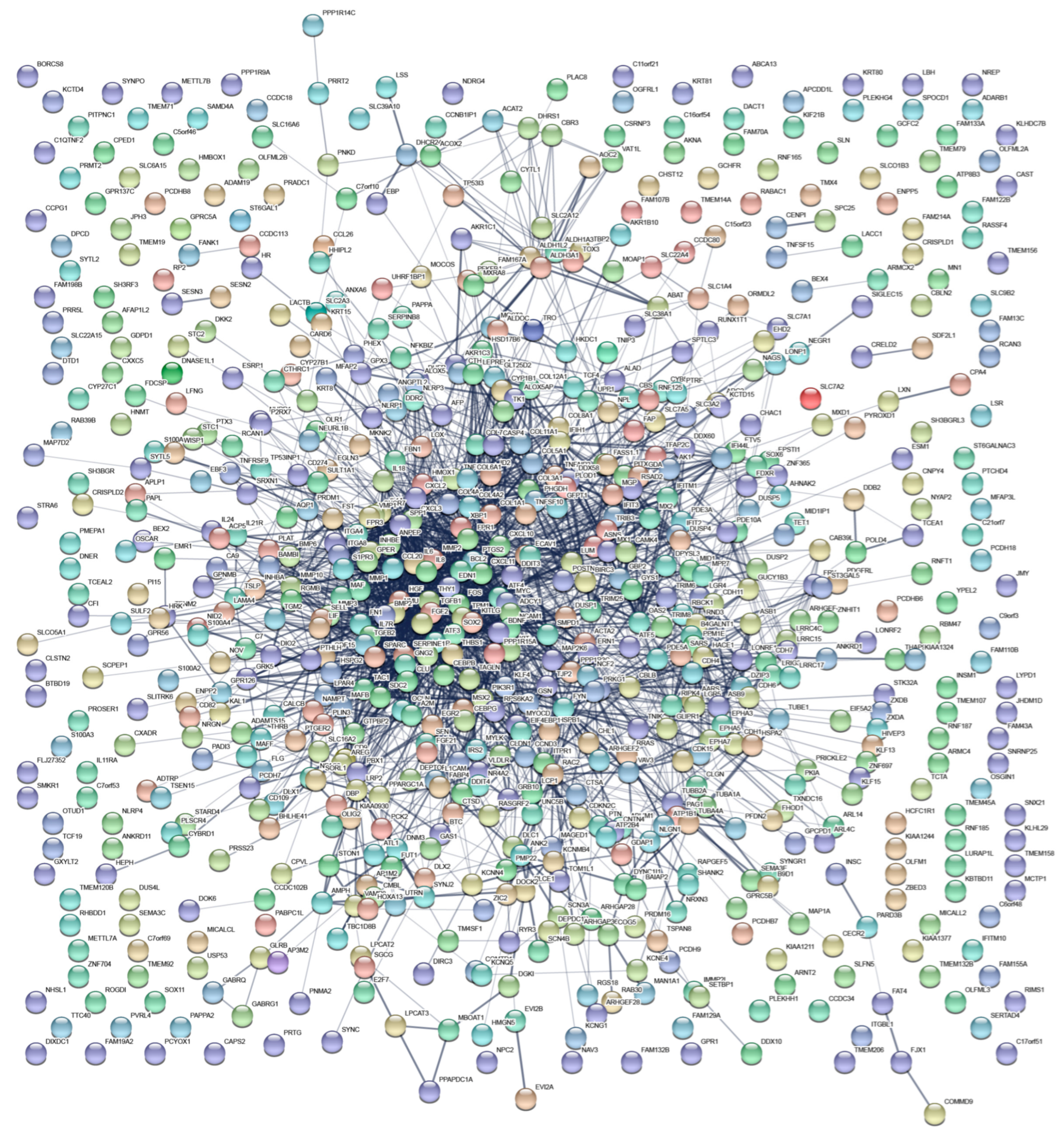 Biomedicines 11 00263 g003