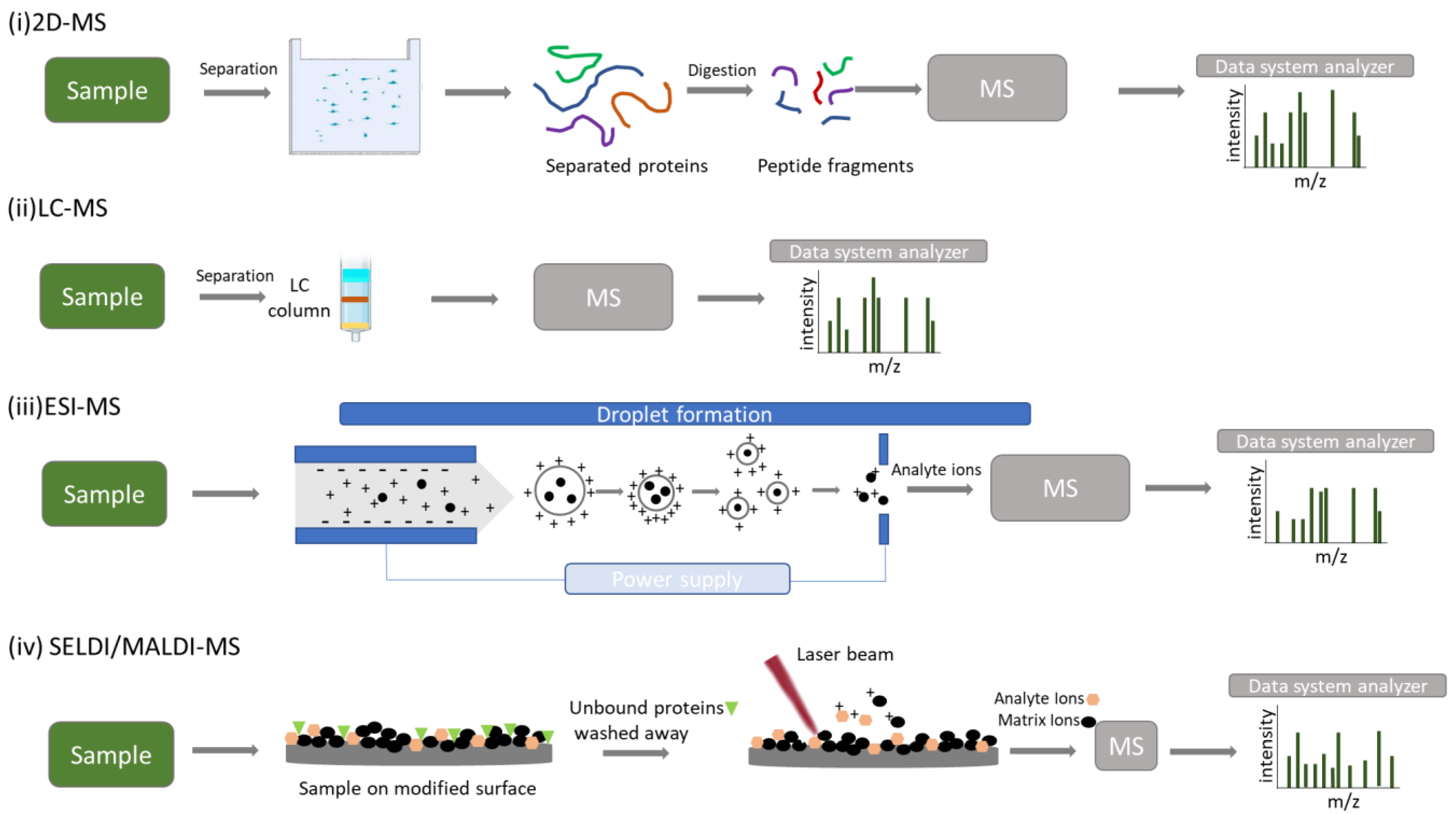 Biomedicines 11 00286 g002