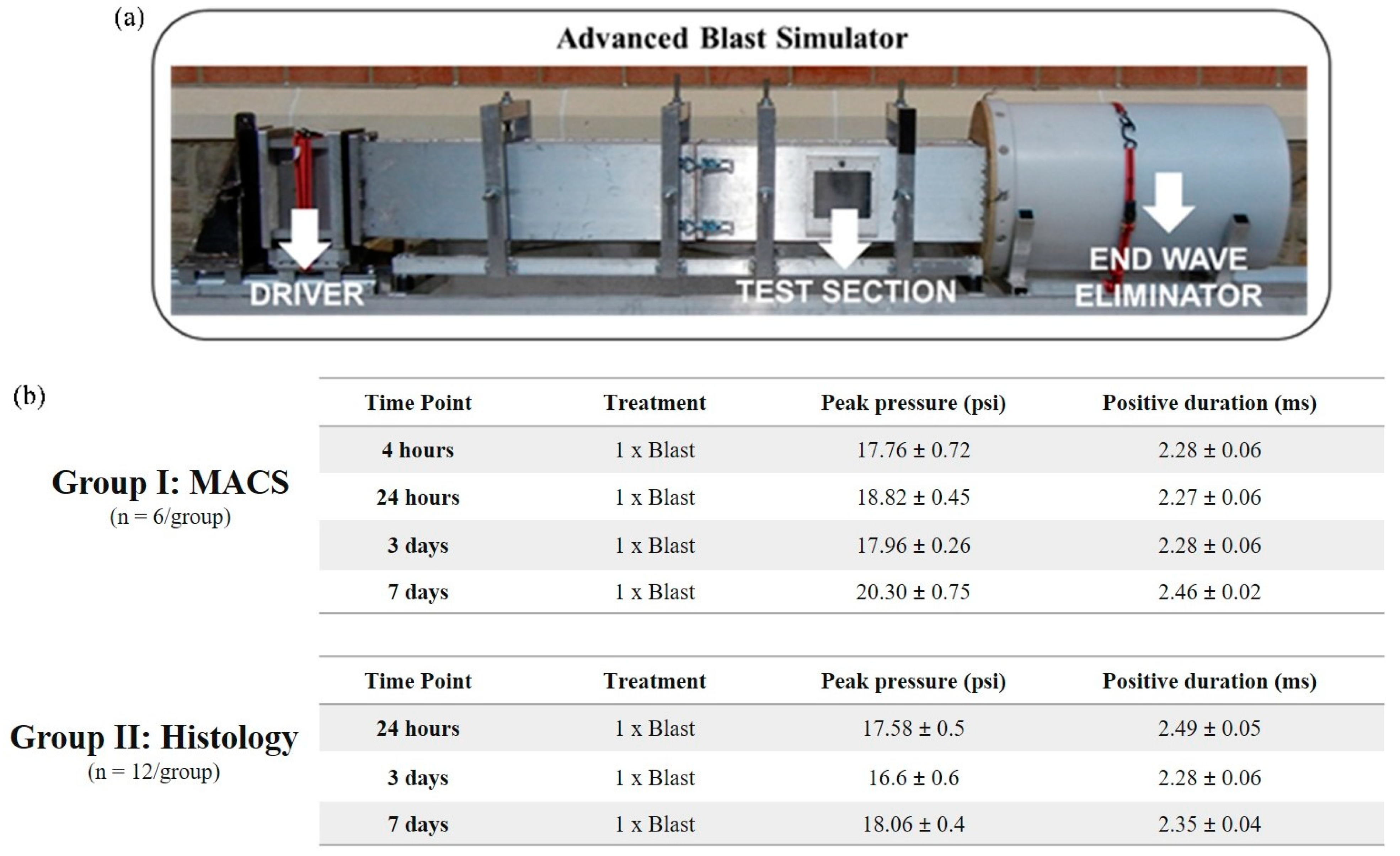 Biomedicines 11 00329 g002