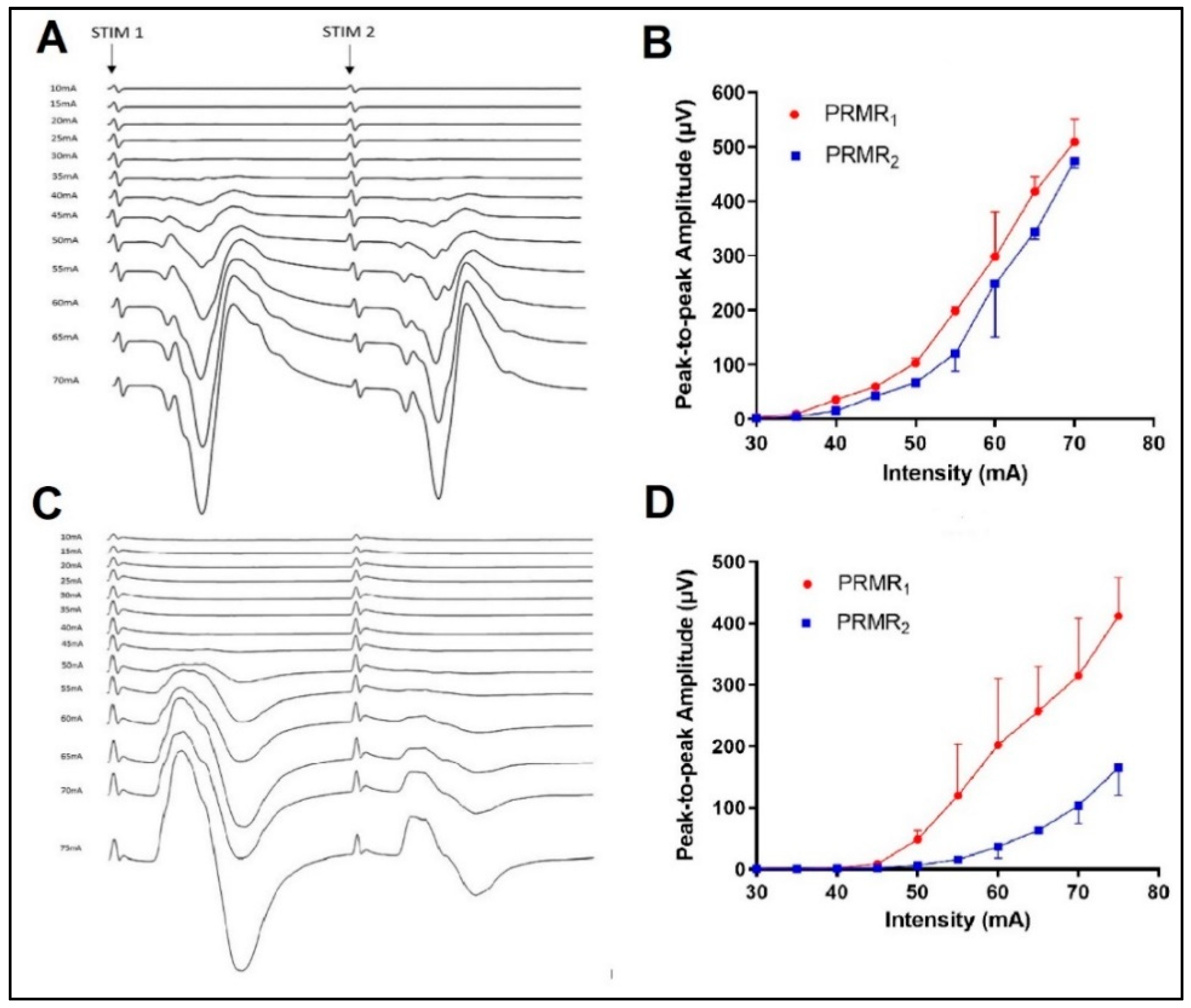 Biomedicines 11 00332 g002 Biomedicines 11 00332 g002