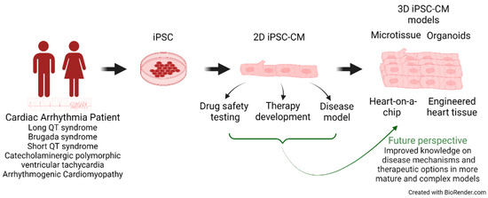 https://www.mdpi.com/biomedicines/biomedicines-11-00334/article_deploy/html/images/biomedicines-11-00334-g001-550.jpg