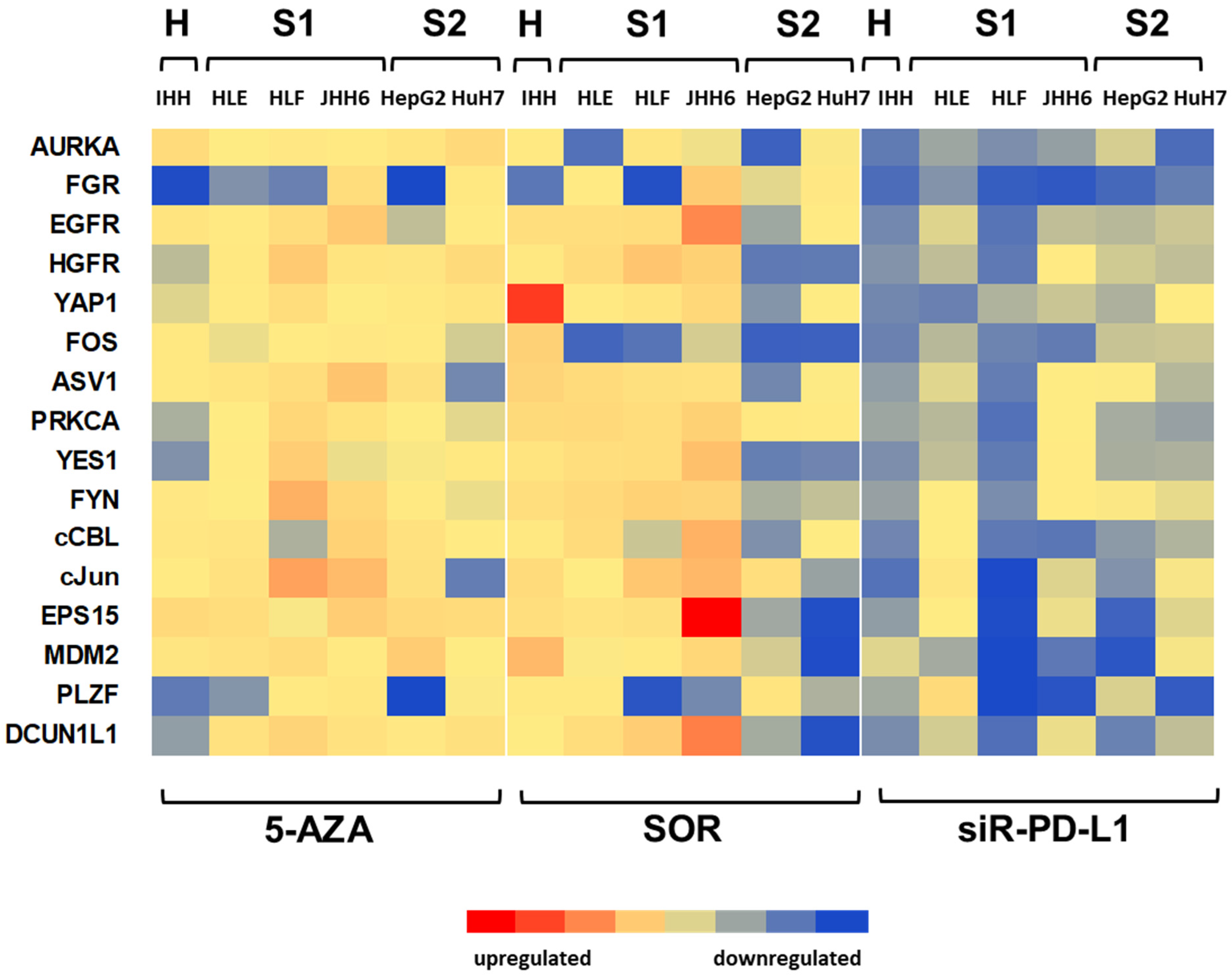 Biomedicines 11 00342 g004