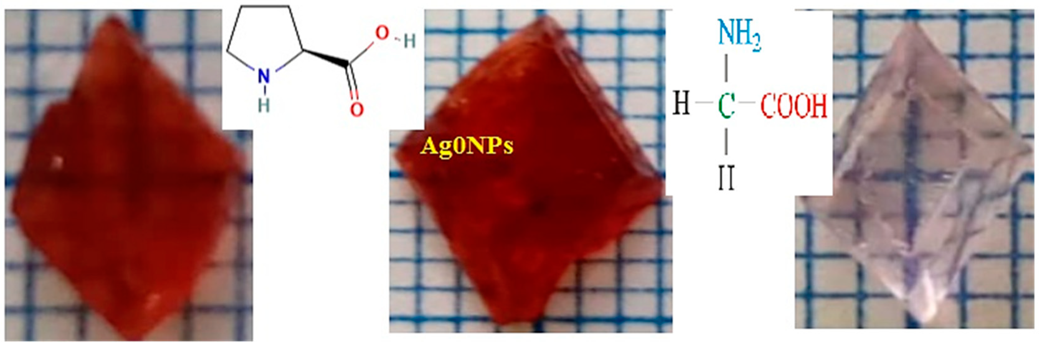 Biomedicines 11 00360 g001