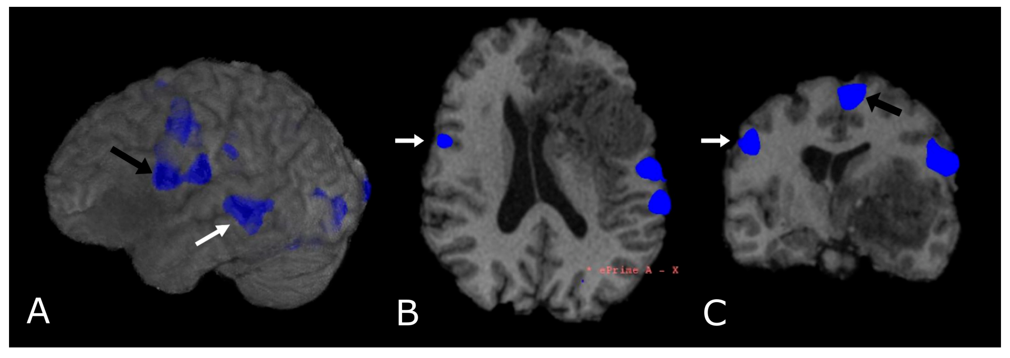 Biomedicines 11 00364 g012 Biomedicines 11 00364 g012