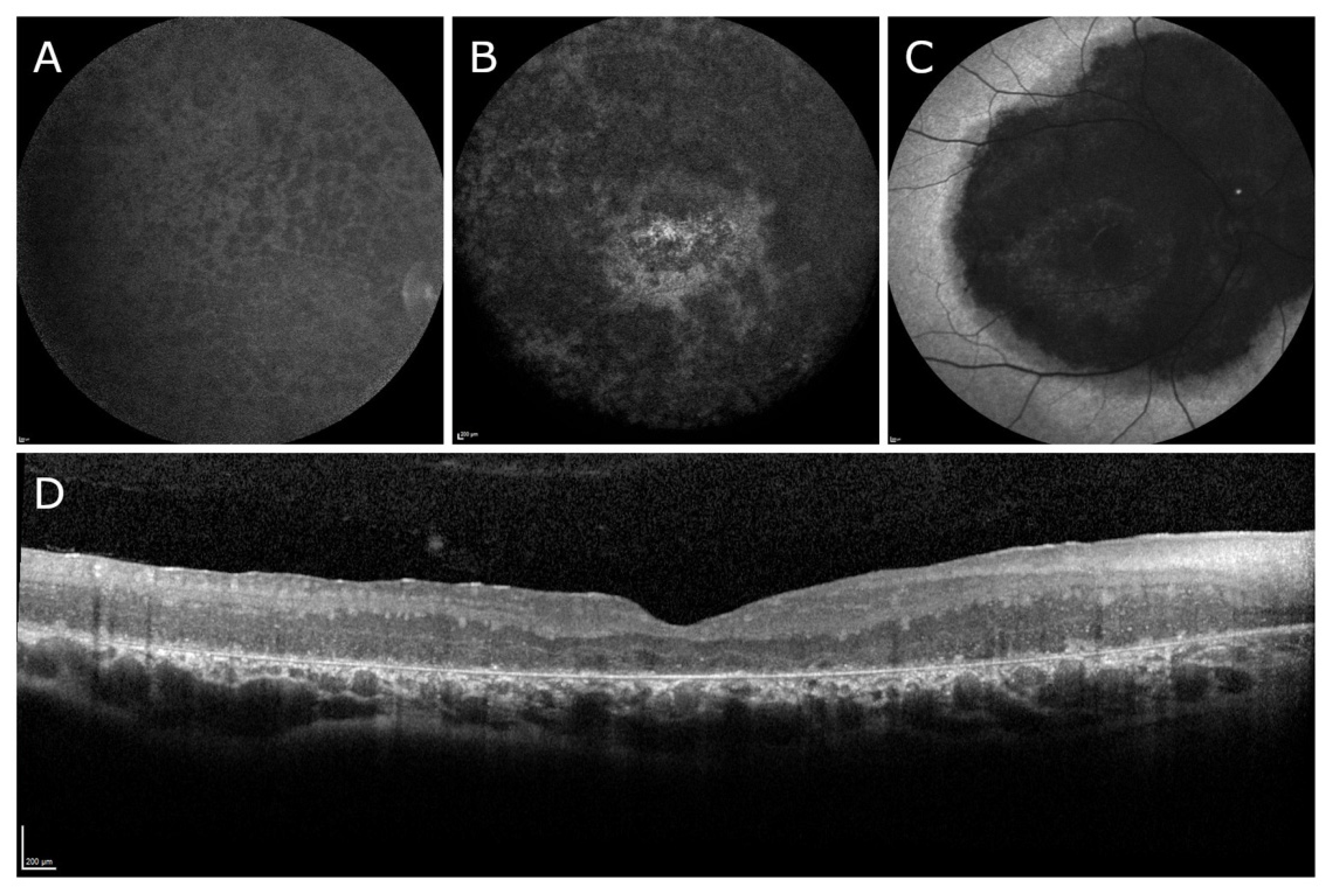 Biomedicines 11 00385 g002 Biomedicines 11 00385 g002