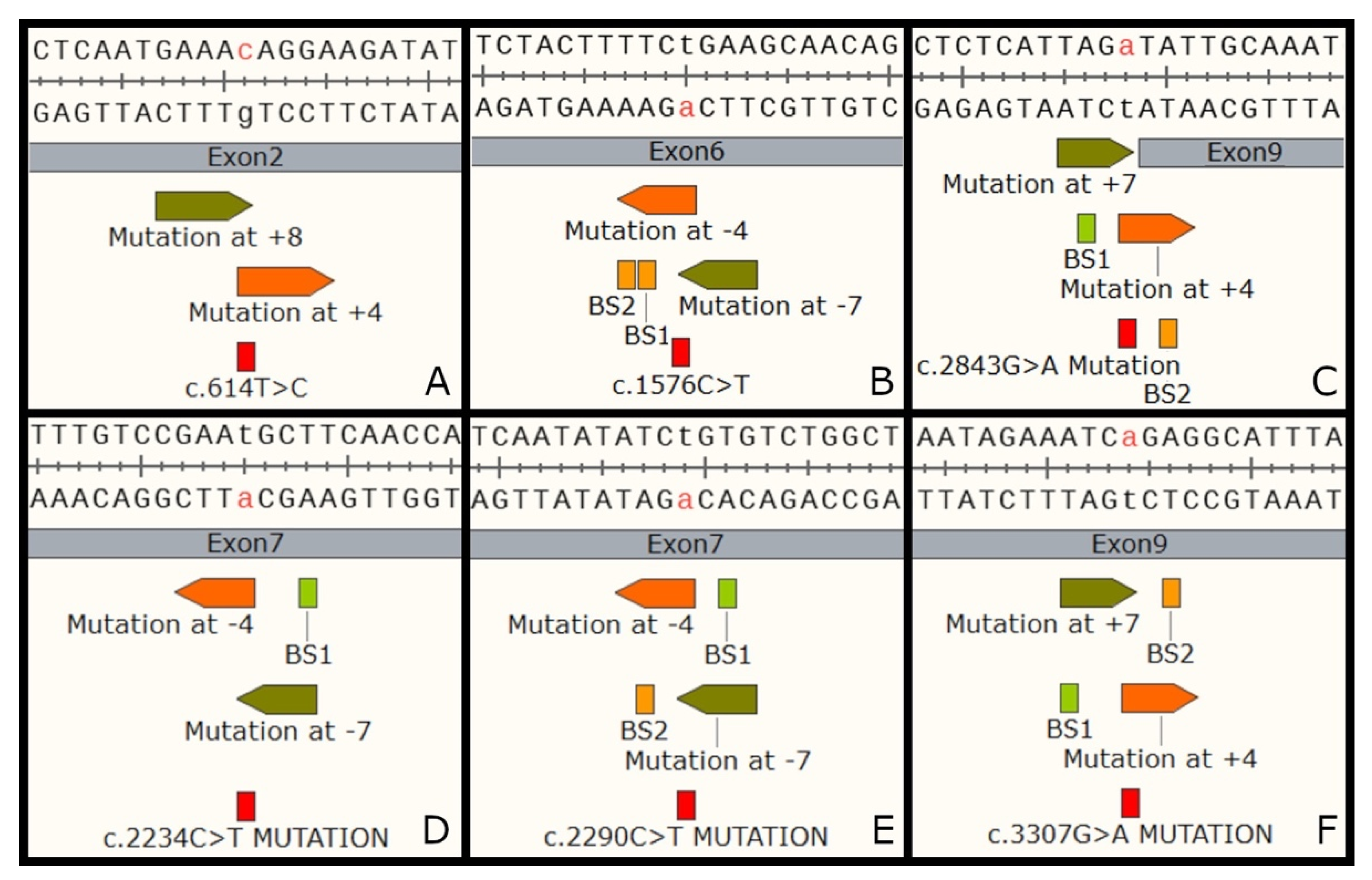 Biomedicines 11 00385 g003 Biomedicines 11 00385 g003