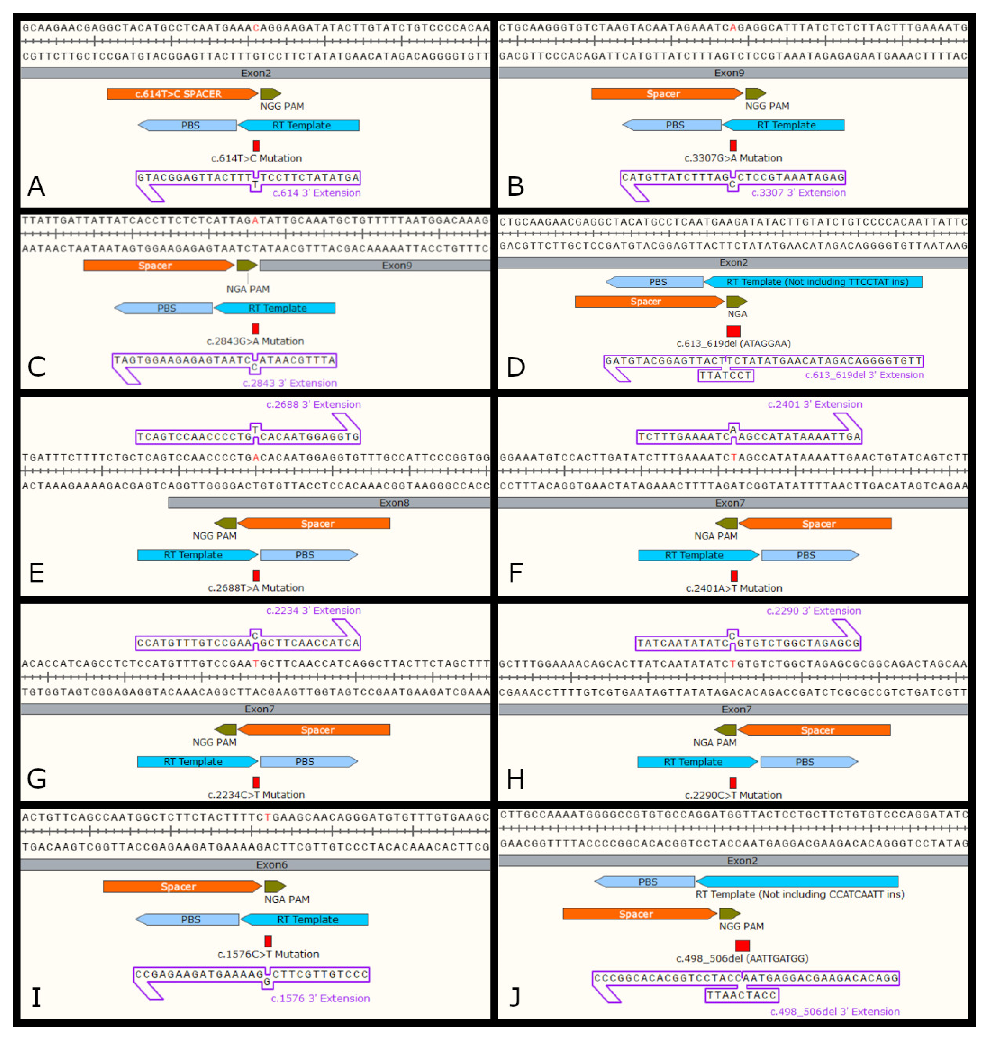 Biomedicines 11 00385 g004 Biomedicines 11 00385 g004