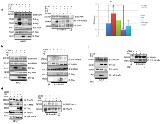 https://www.mdpi.com/biomedicines/biomedicines-11-00412/article_deploy/html/images/biomedicines-11-00412-g001-550.jpg