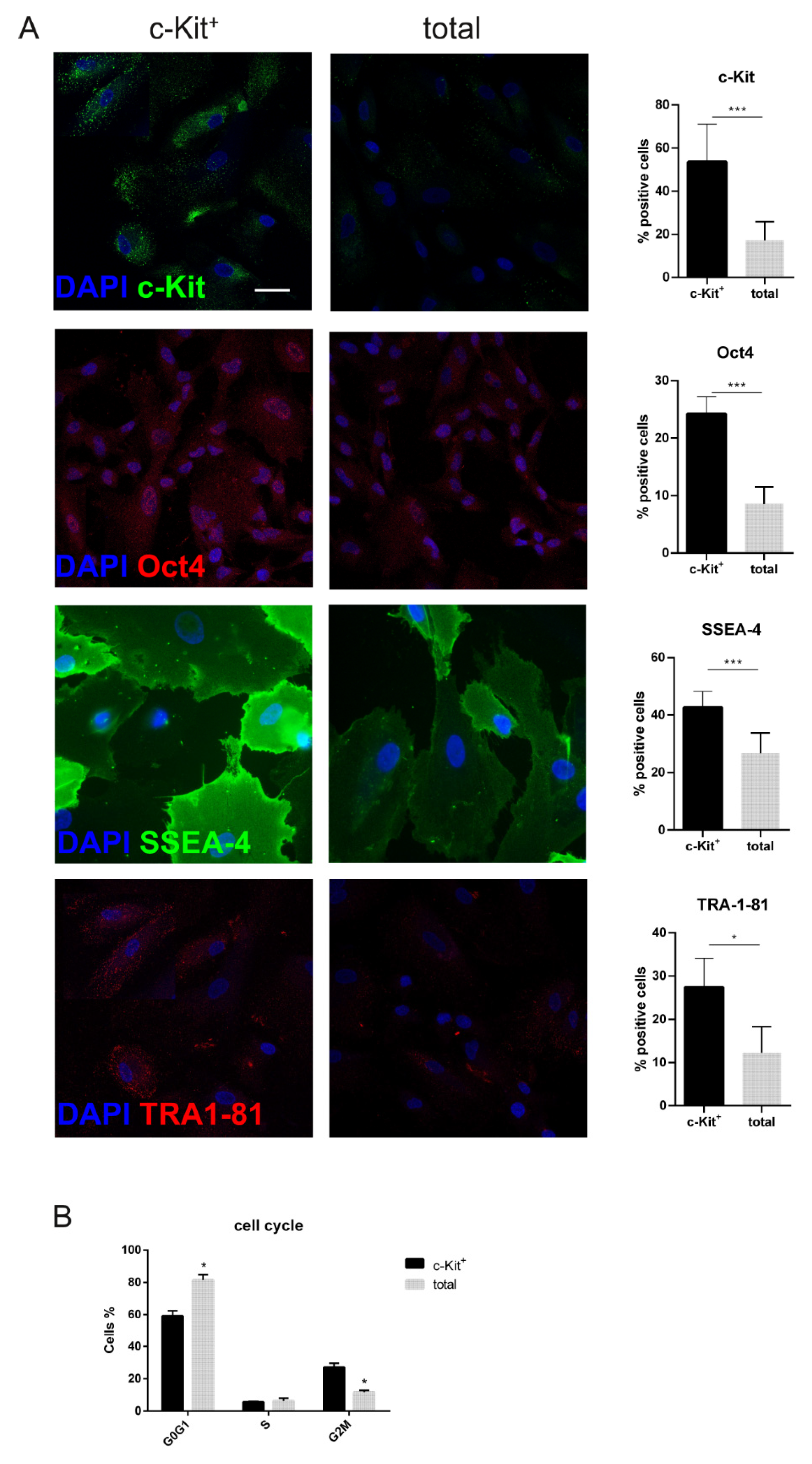 Biomedicines 11 00430 g003