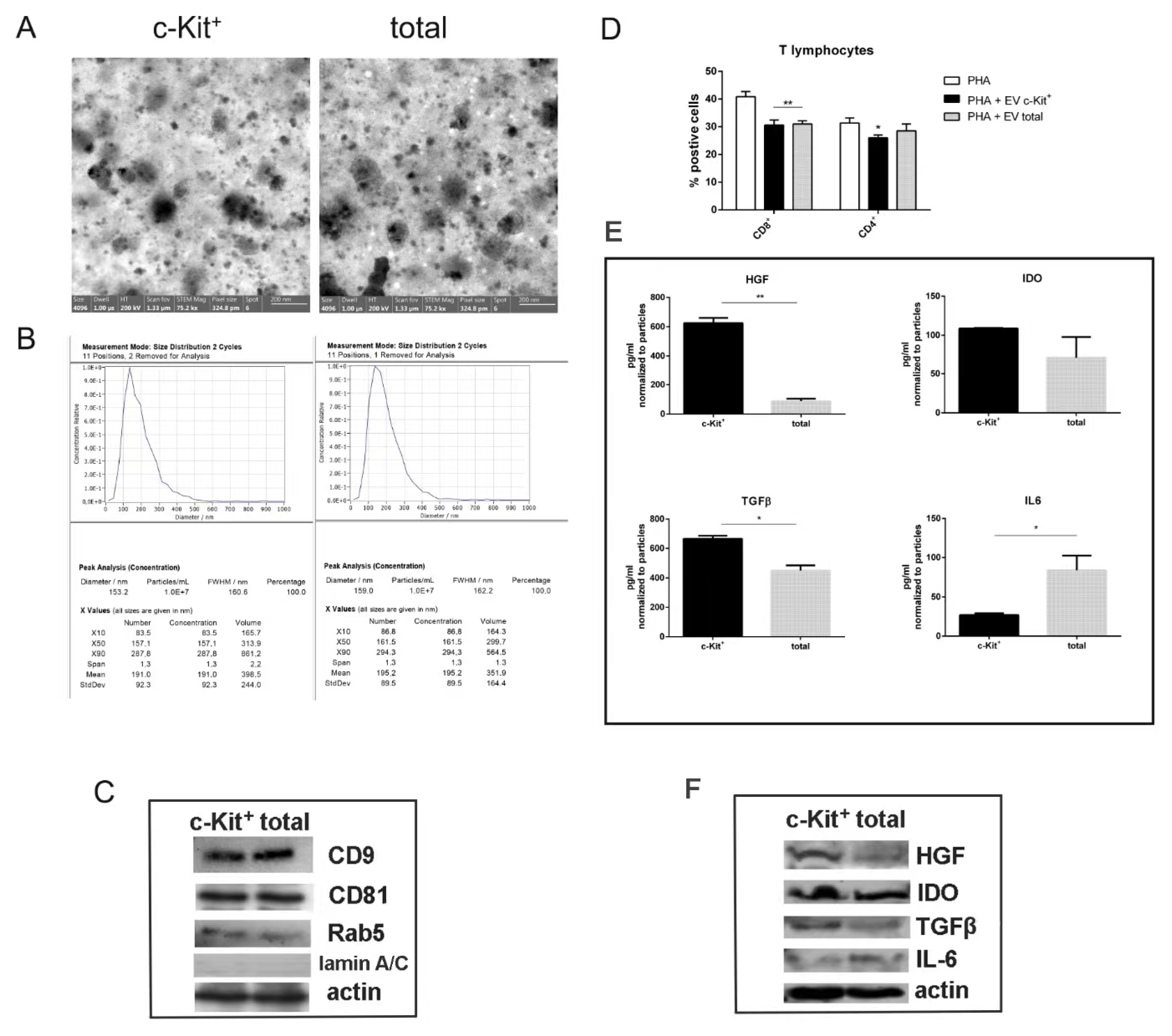 Biomedicines 11 00430 g005