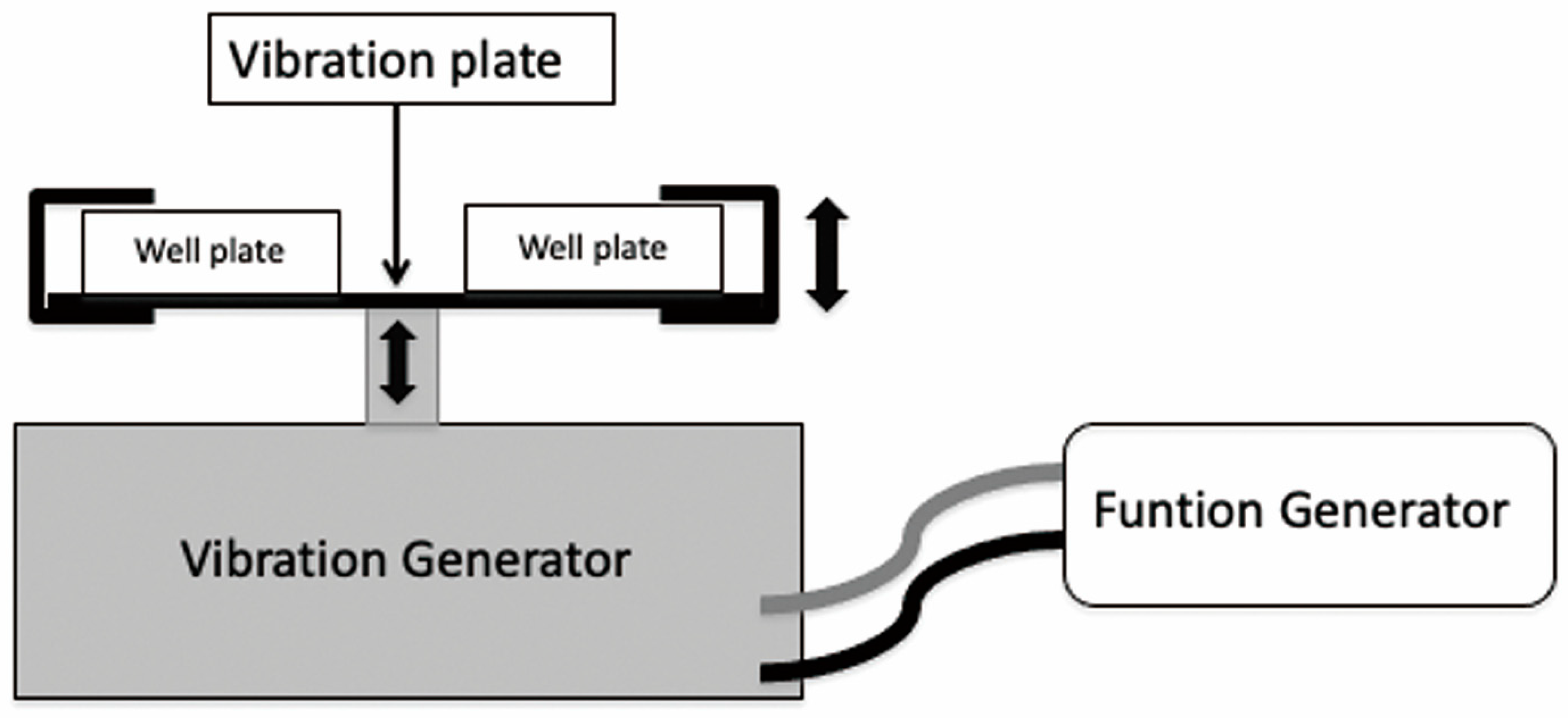 Biomedicines 11 00444 g001 Biomedicines 11 00444 g001