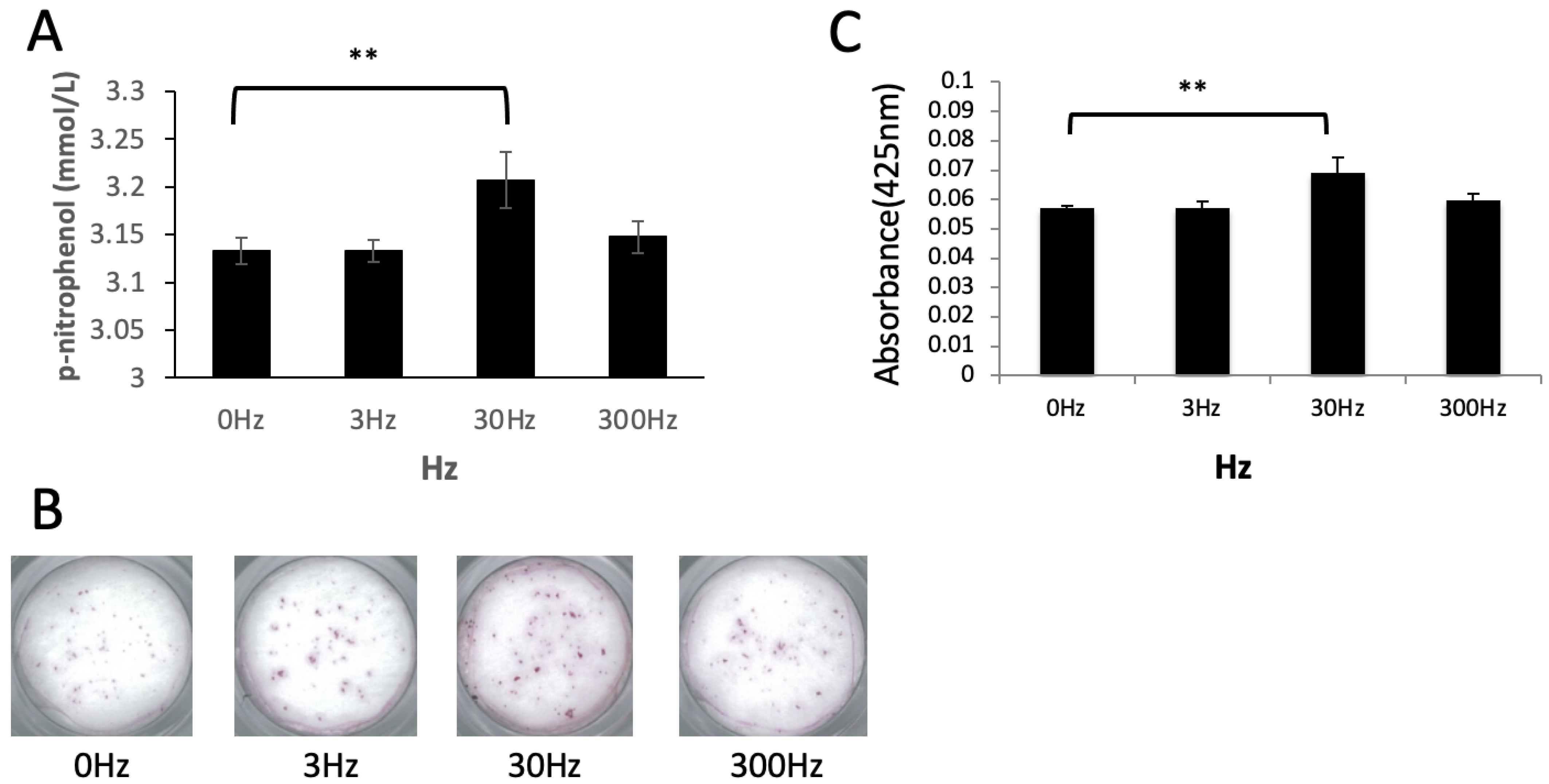 Biomedicines 11 00444 g004 Biomedicines 11 00444 g004