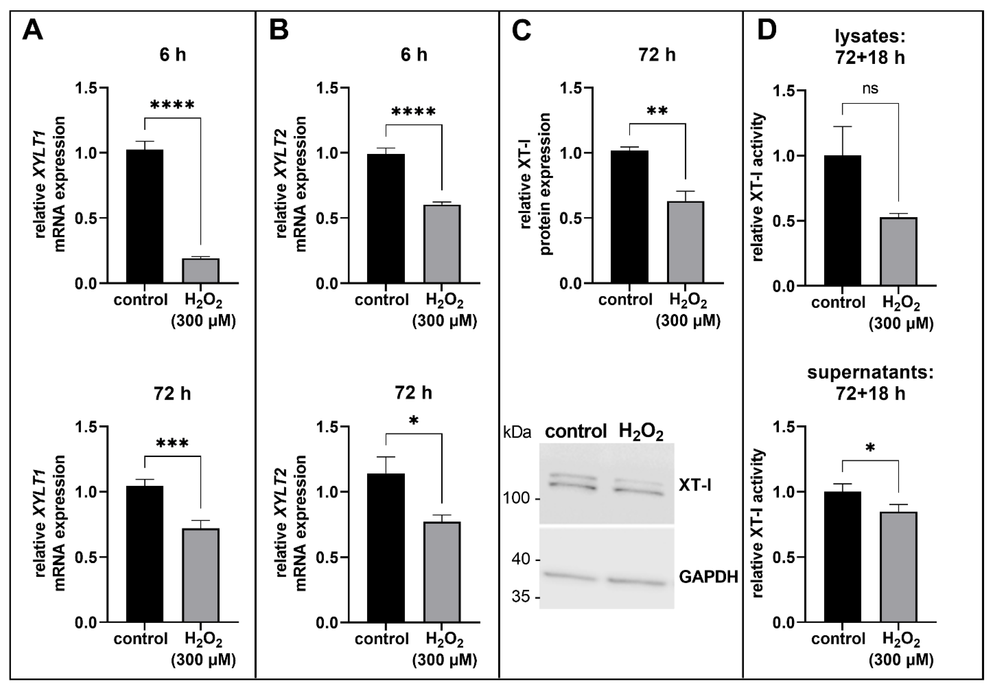 Biomedicines 11 00460 g002 Biomedicines 11 00460 g002