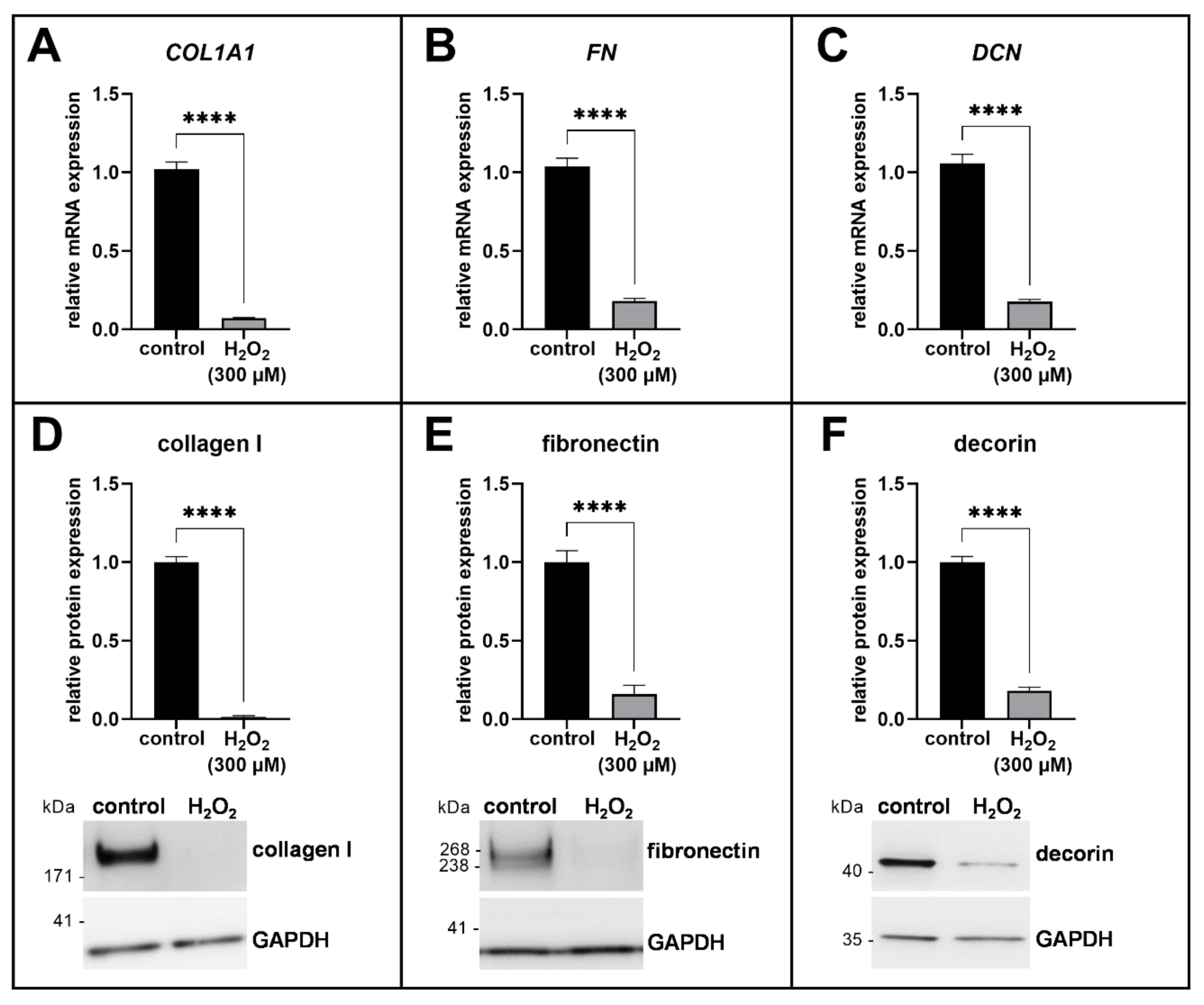 Biomedicines 11 00460 g003 Biomedicines 11 00460 g003