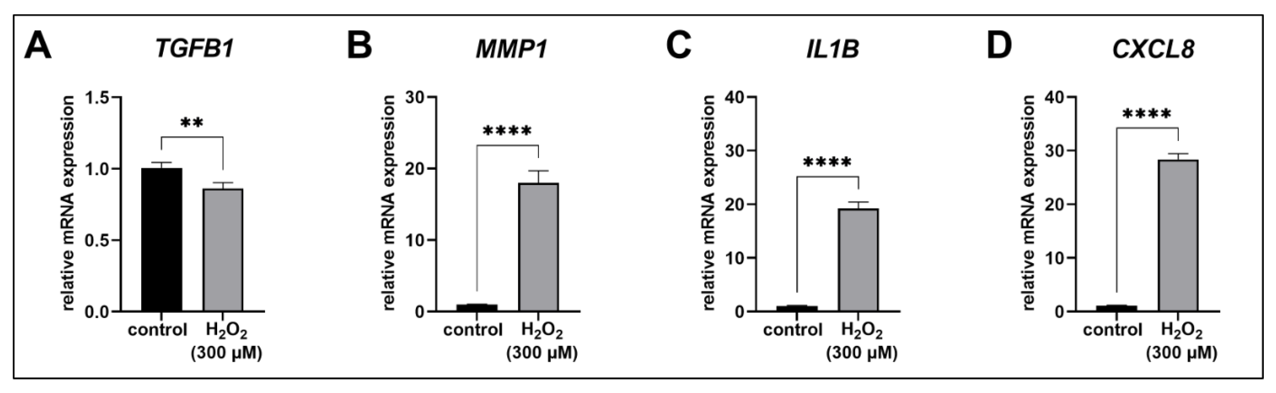 Biomedicines 11 00460 g004 Biomedicines 11 00460 g004