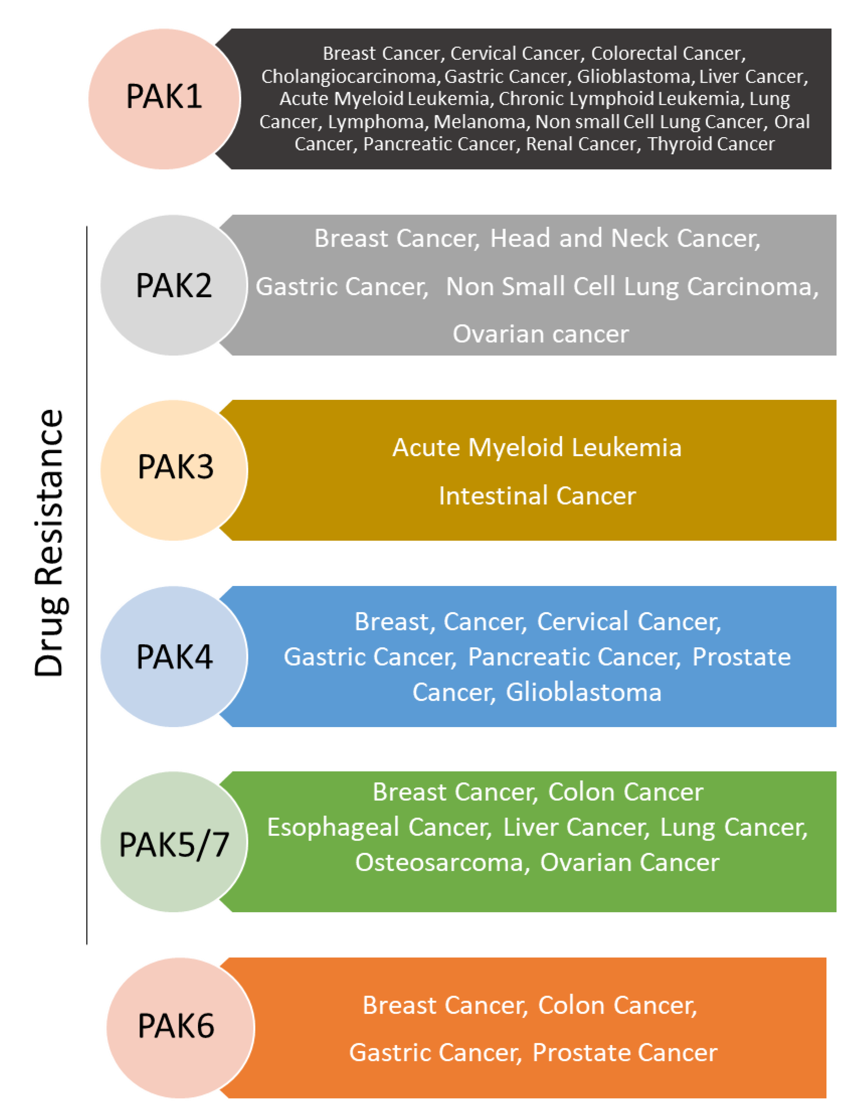 Biomedicines 11 00462 g002 Biomedicines 11 00462 g002