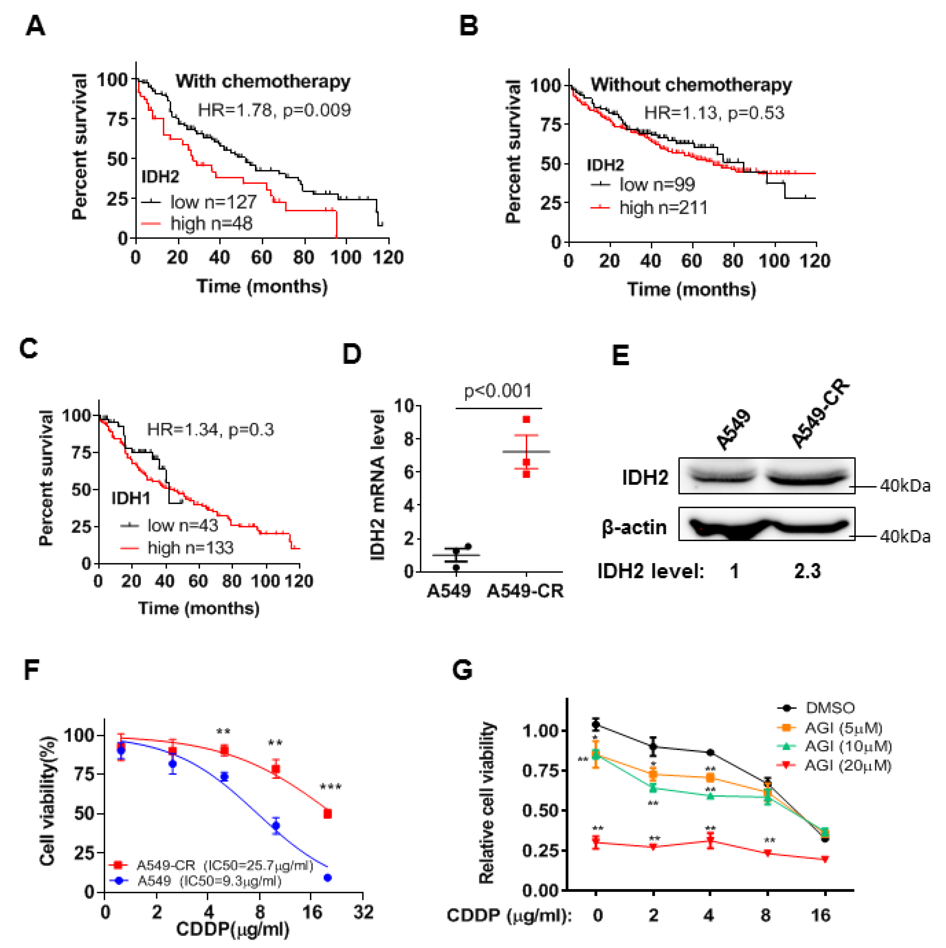 Biomedicines 11 00475 g001