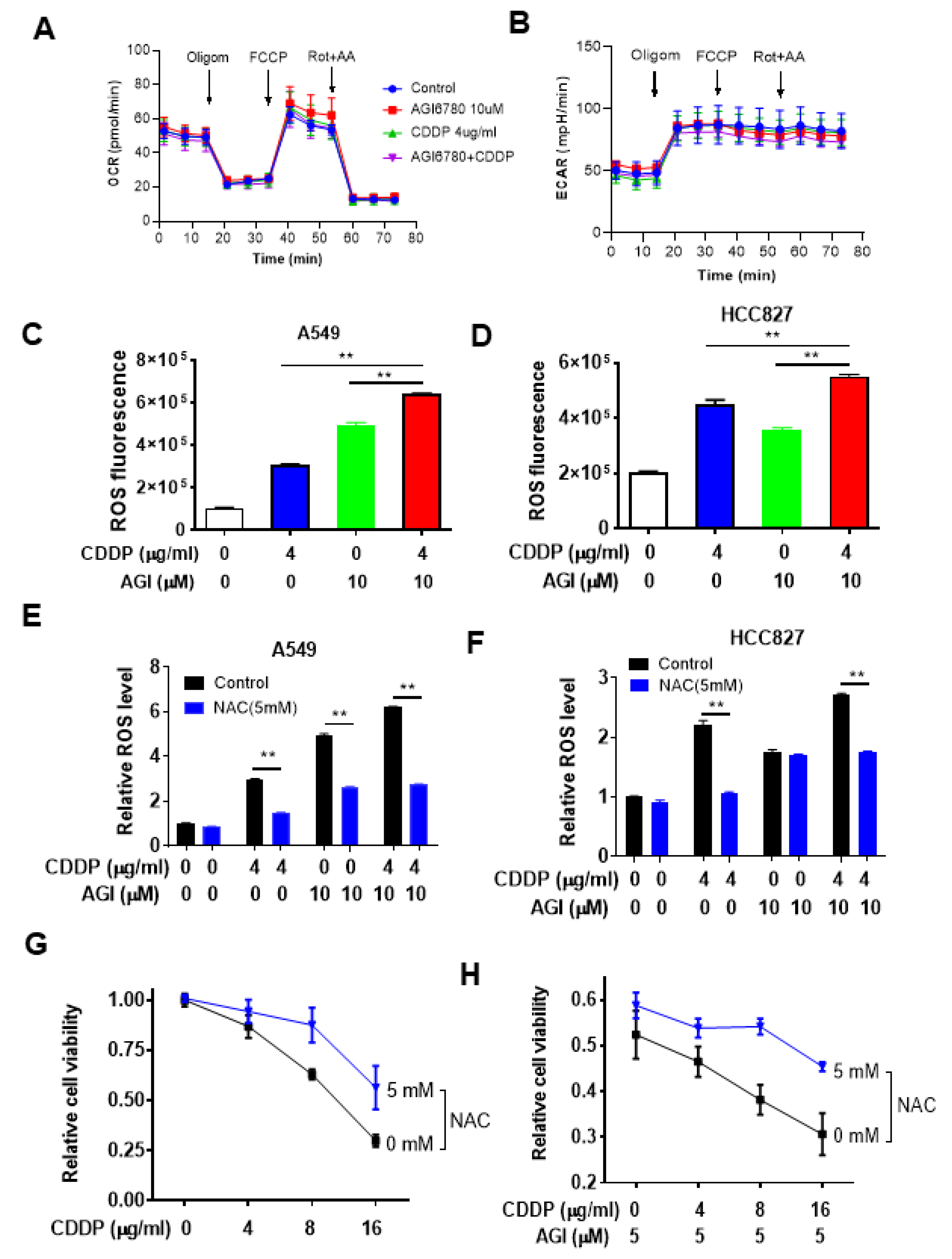 Biomedicines 11 00475 g004