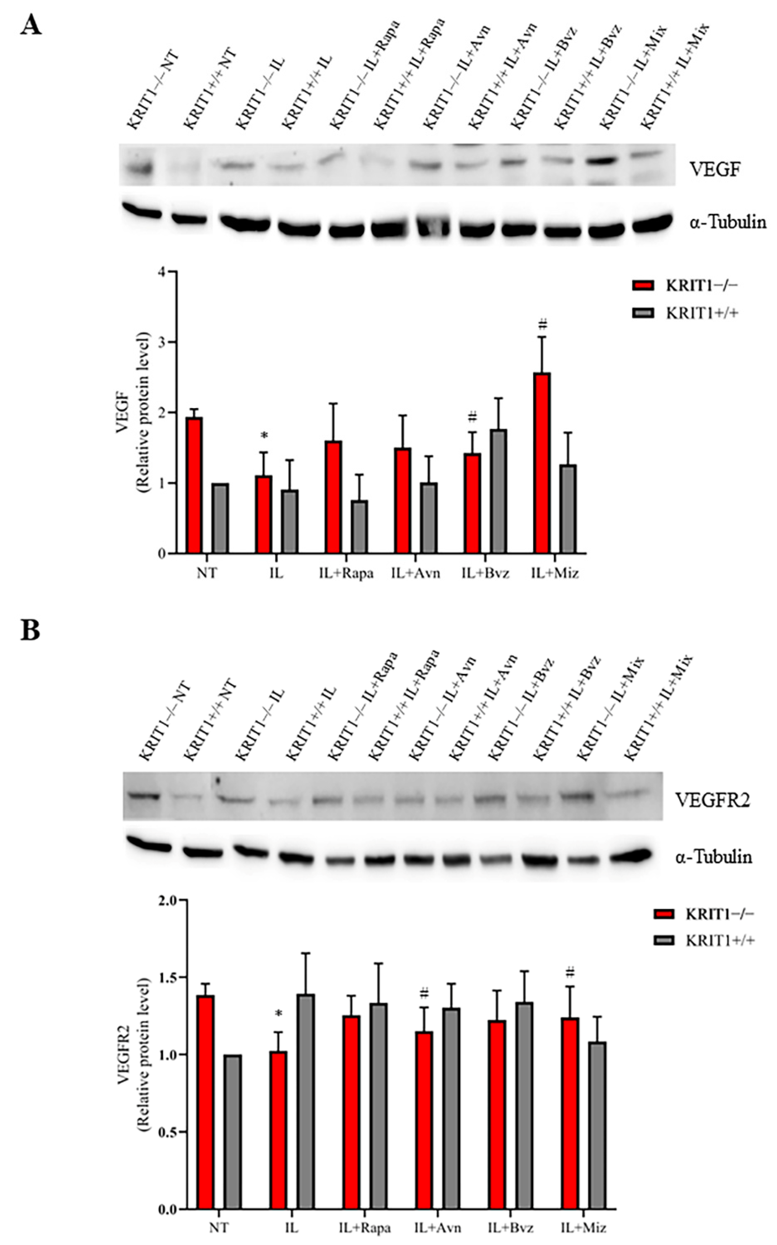 Biomedicines 11 00480 g004