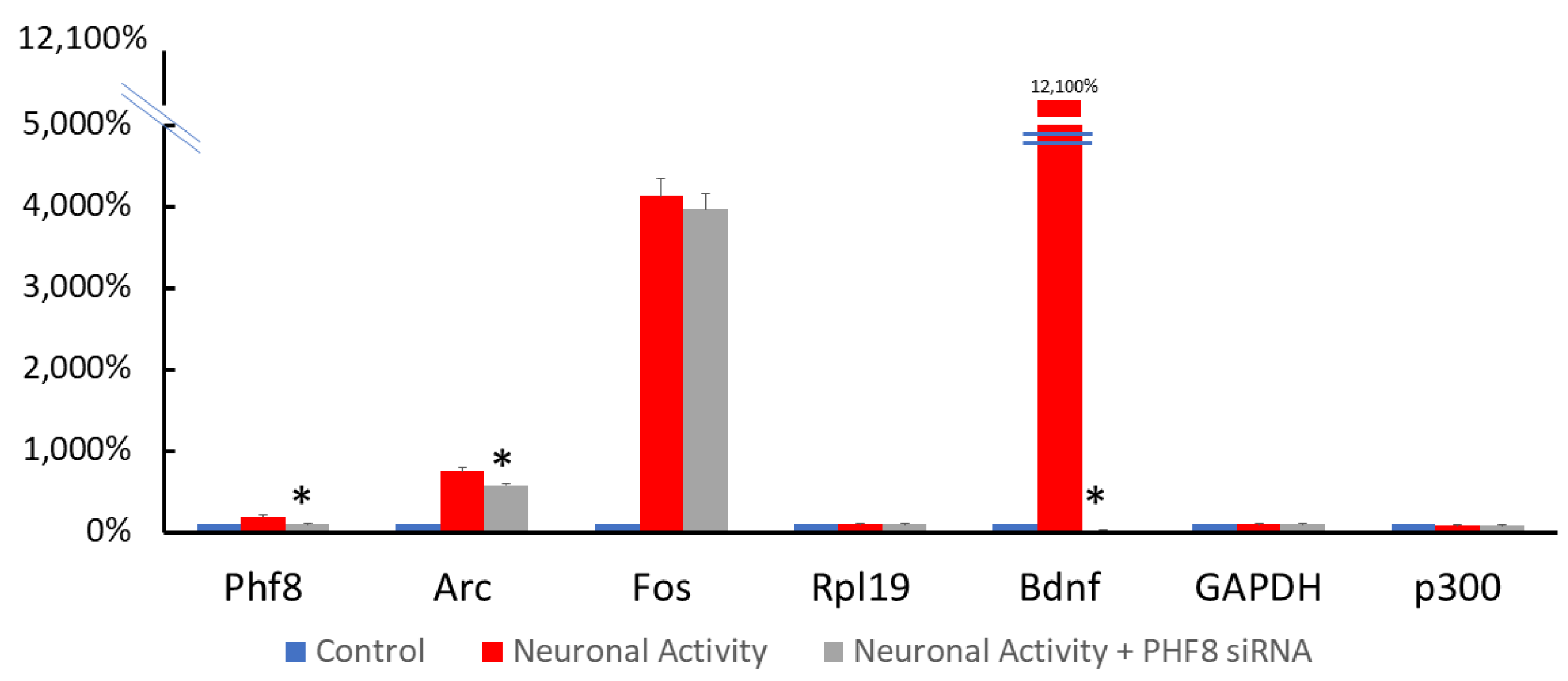 Biomedicines 11 00486 g002