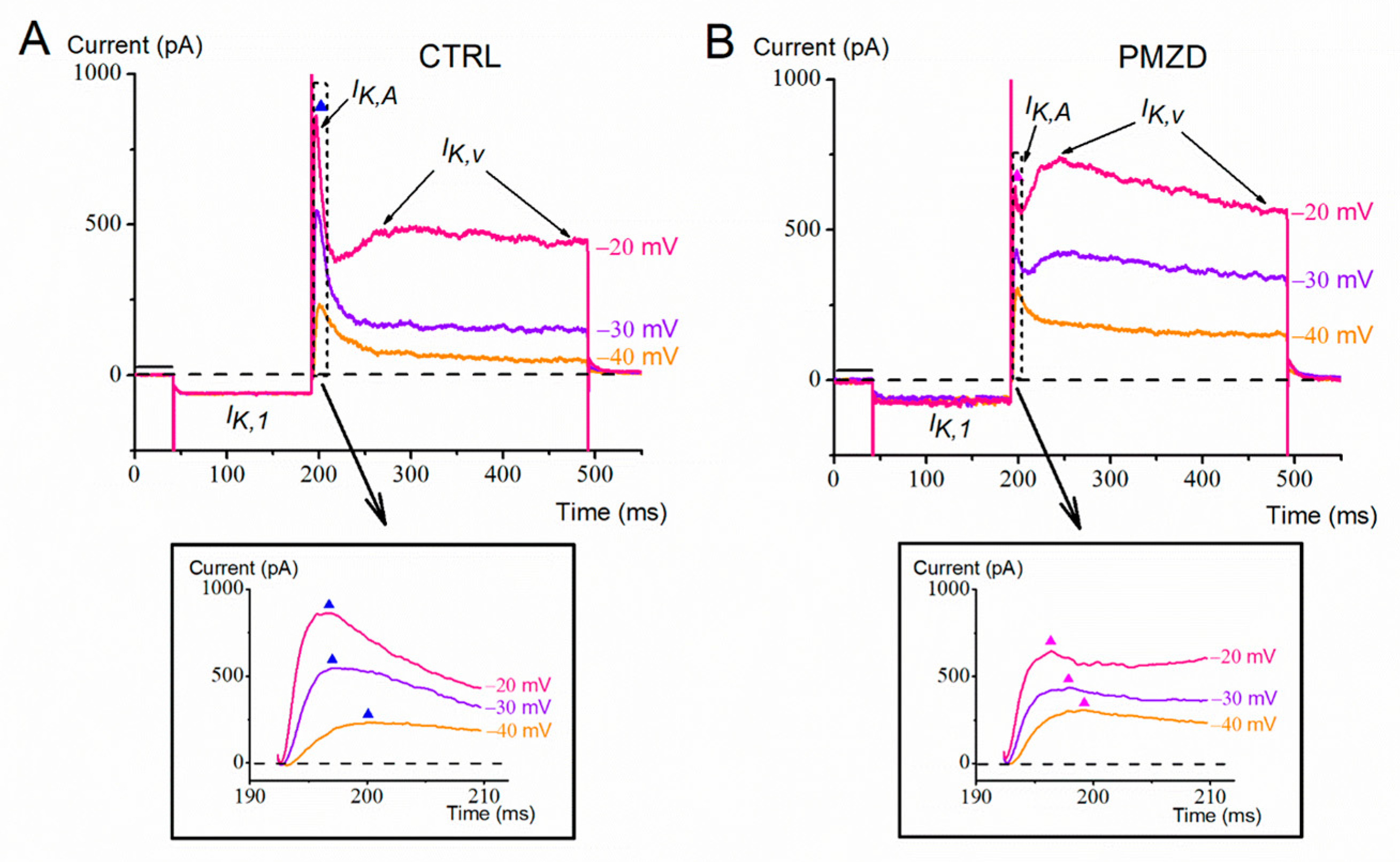 Biomedicines 11 00488 g001