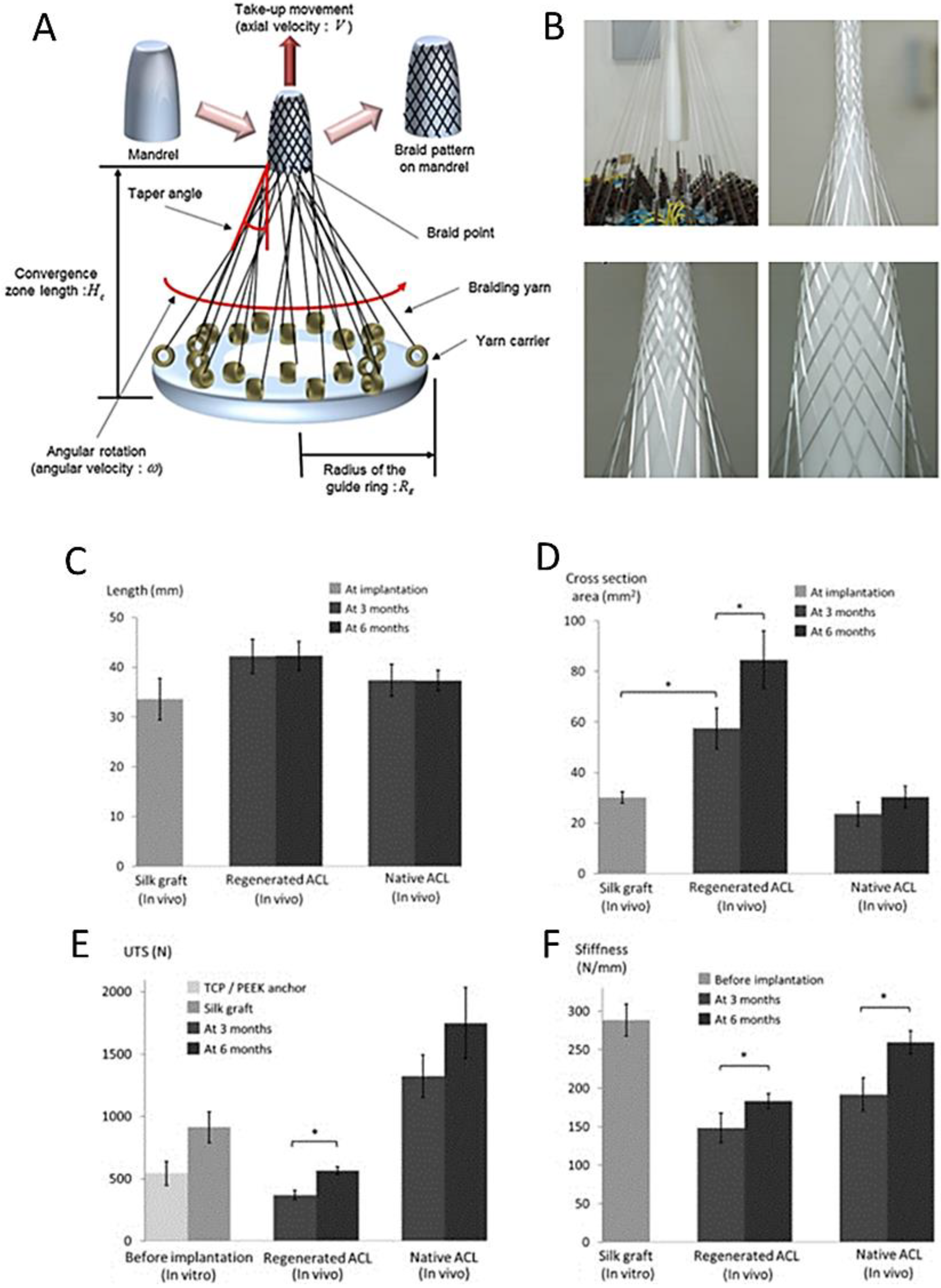 Biomedicines 11 00507 g005 Biomedicines 11 00507 g005