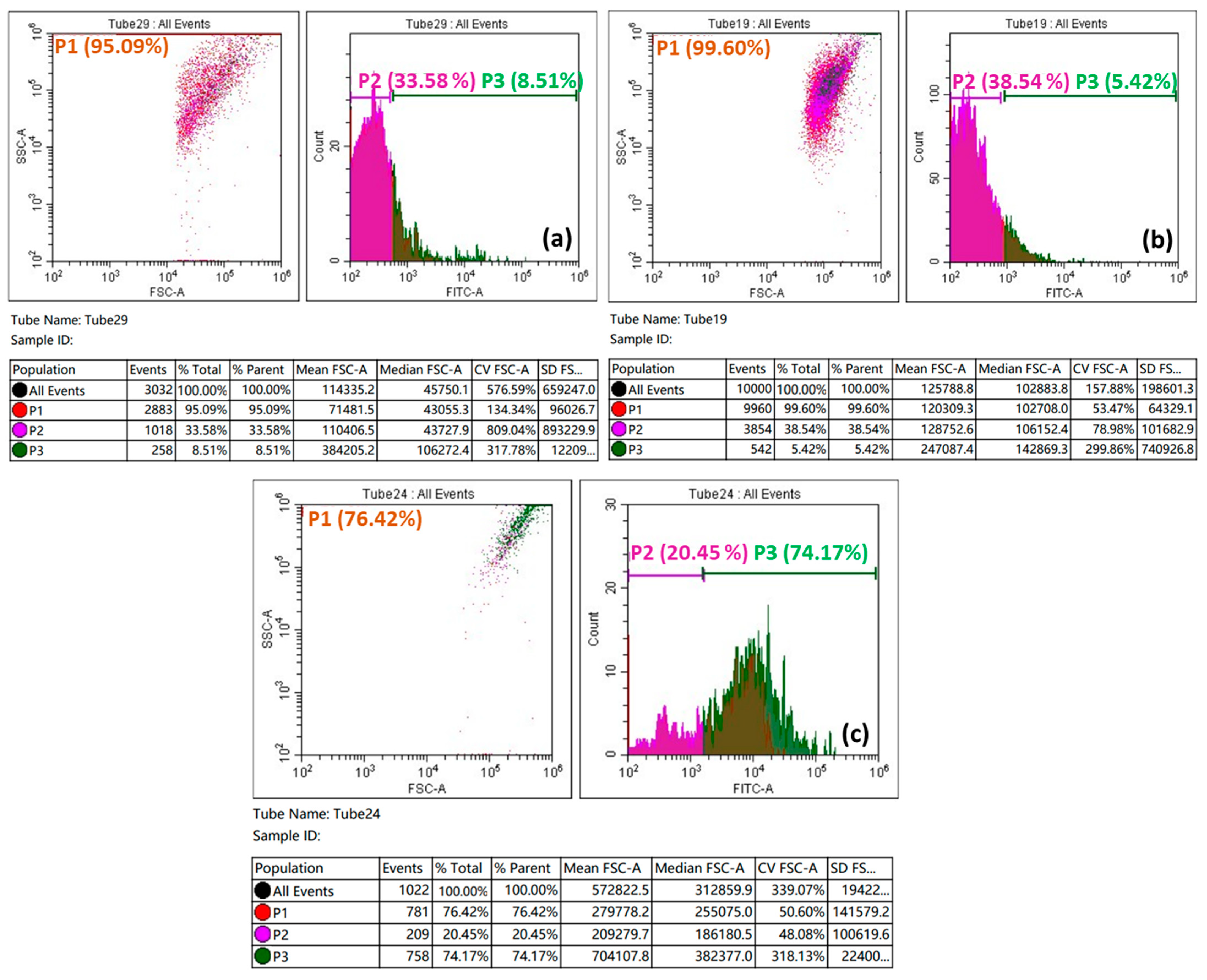 Biomedicines 11 00531 g011 Biomedicines 11 00531 g011
