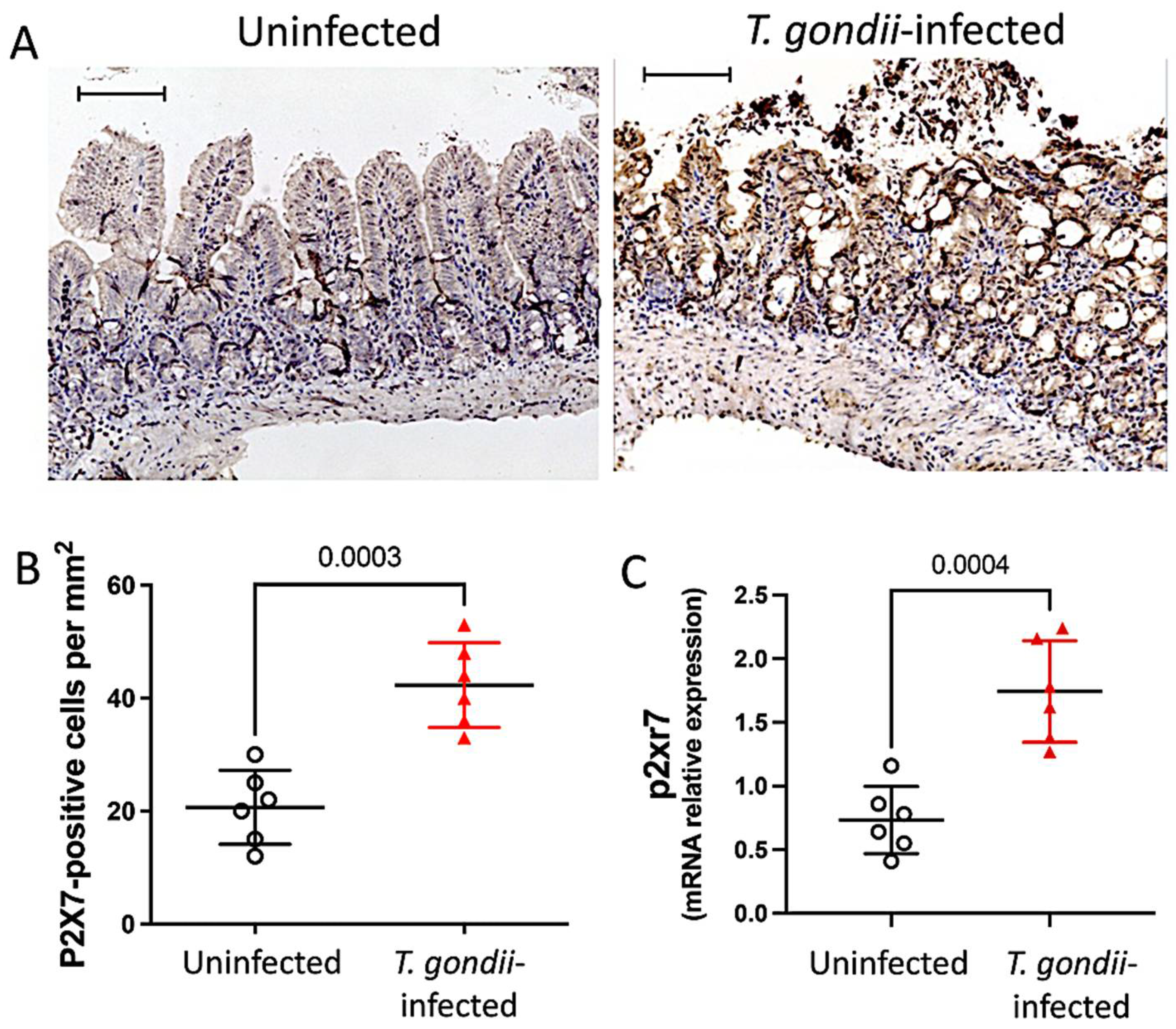 Biomedicines 11 00555 g001 Biomedicines 11 00555 g001