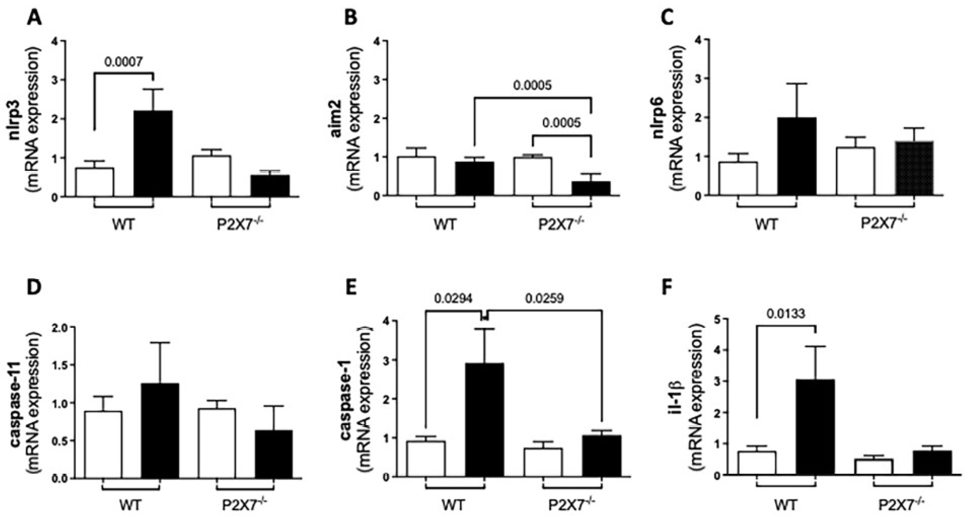 Biomedicines 11 00555 g005 Biomedicines 11 00555 g005