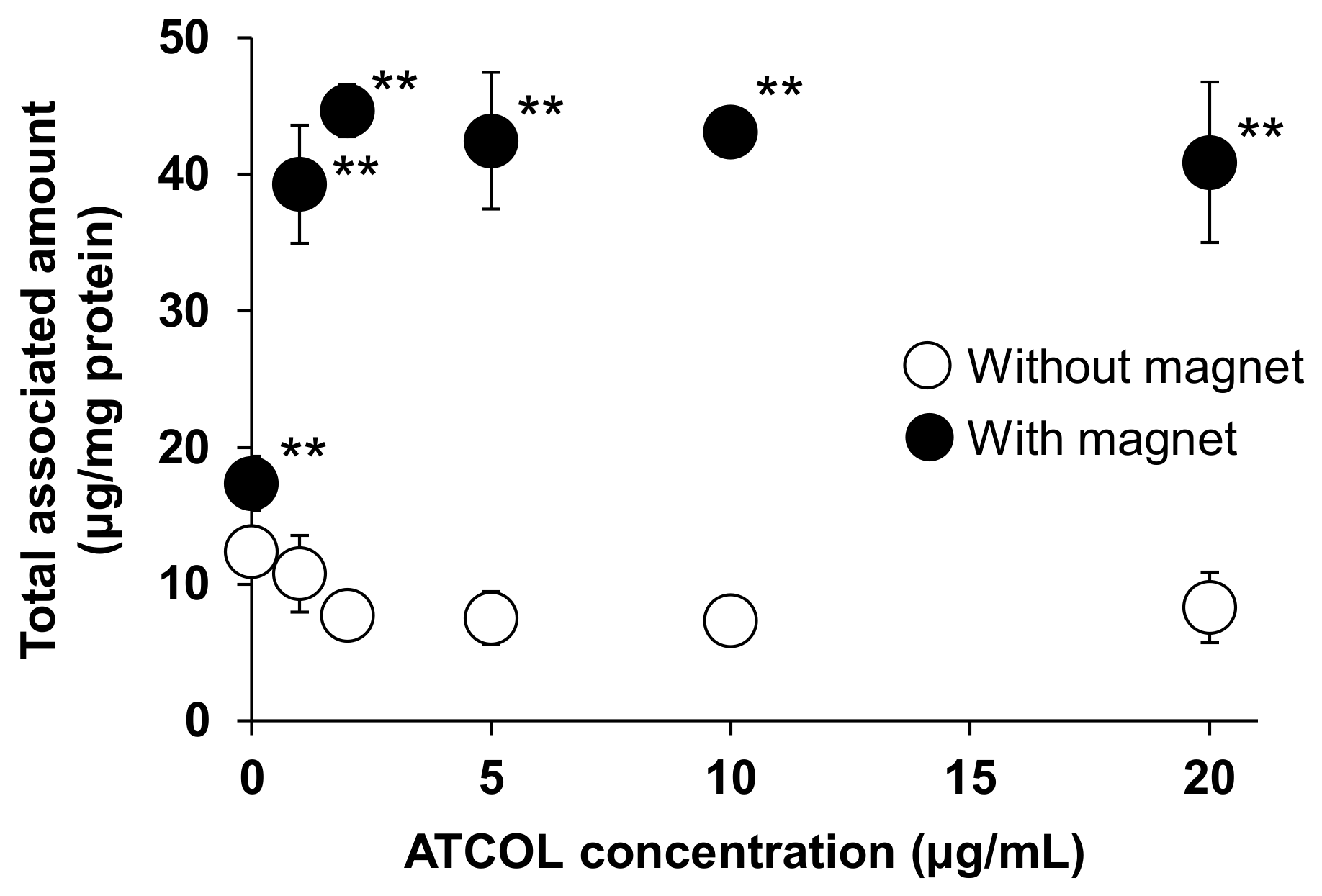 Biomedicines 11 00558 g001