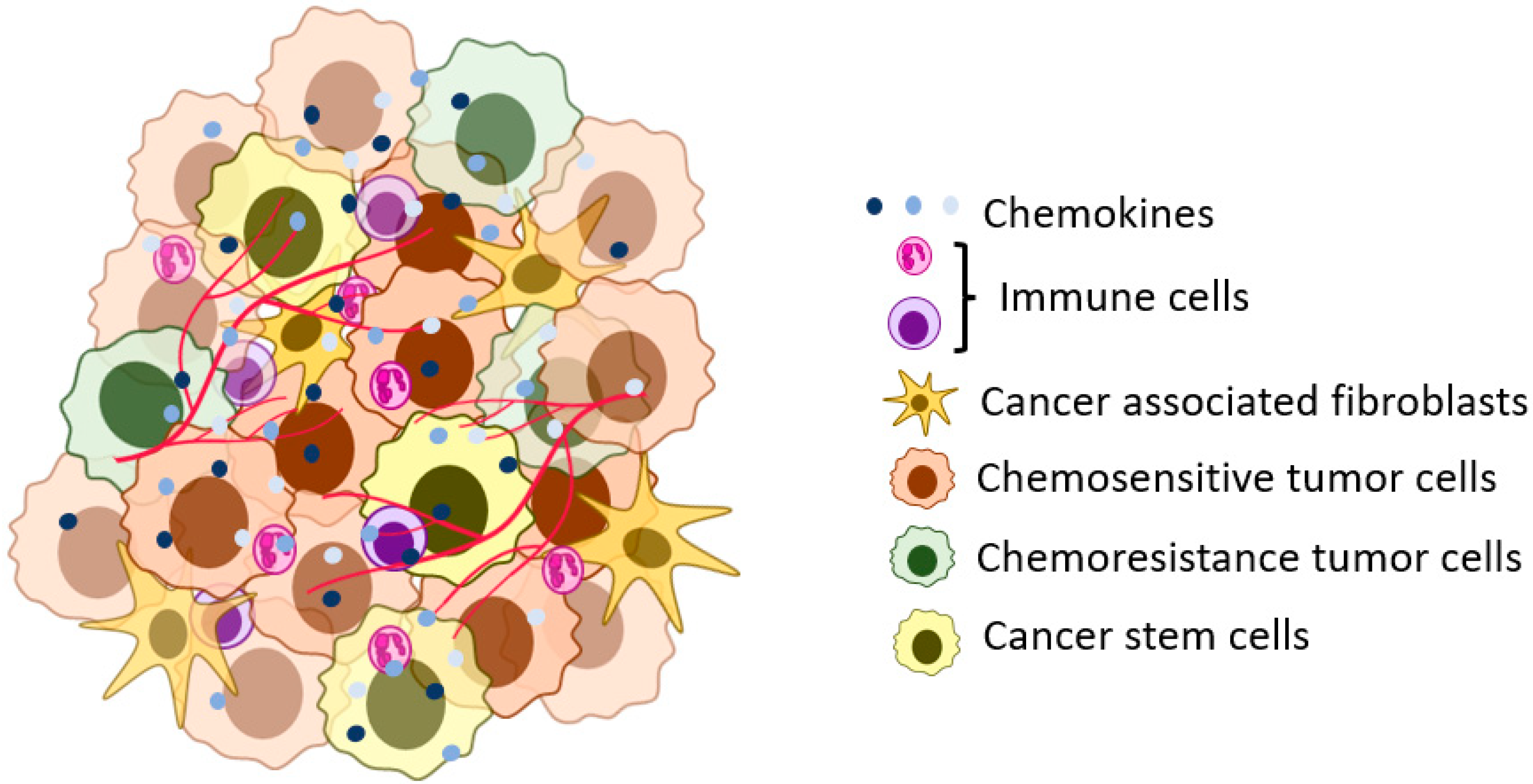 Biomedicines | Free Full-Text | CXCR1: A Cancer Stem Cell Marker and  Therapeutic Target in Solid Tumors