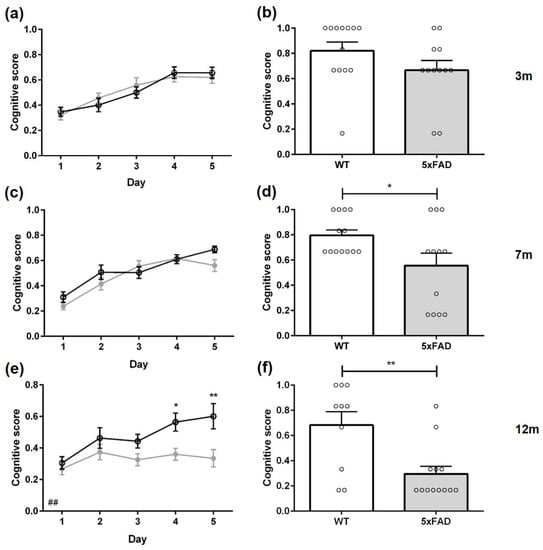 Search strategy analysis of Tg4-42 Alzheimer Mice in the Morris