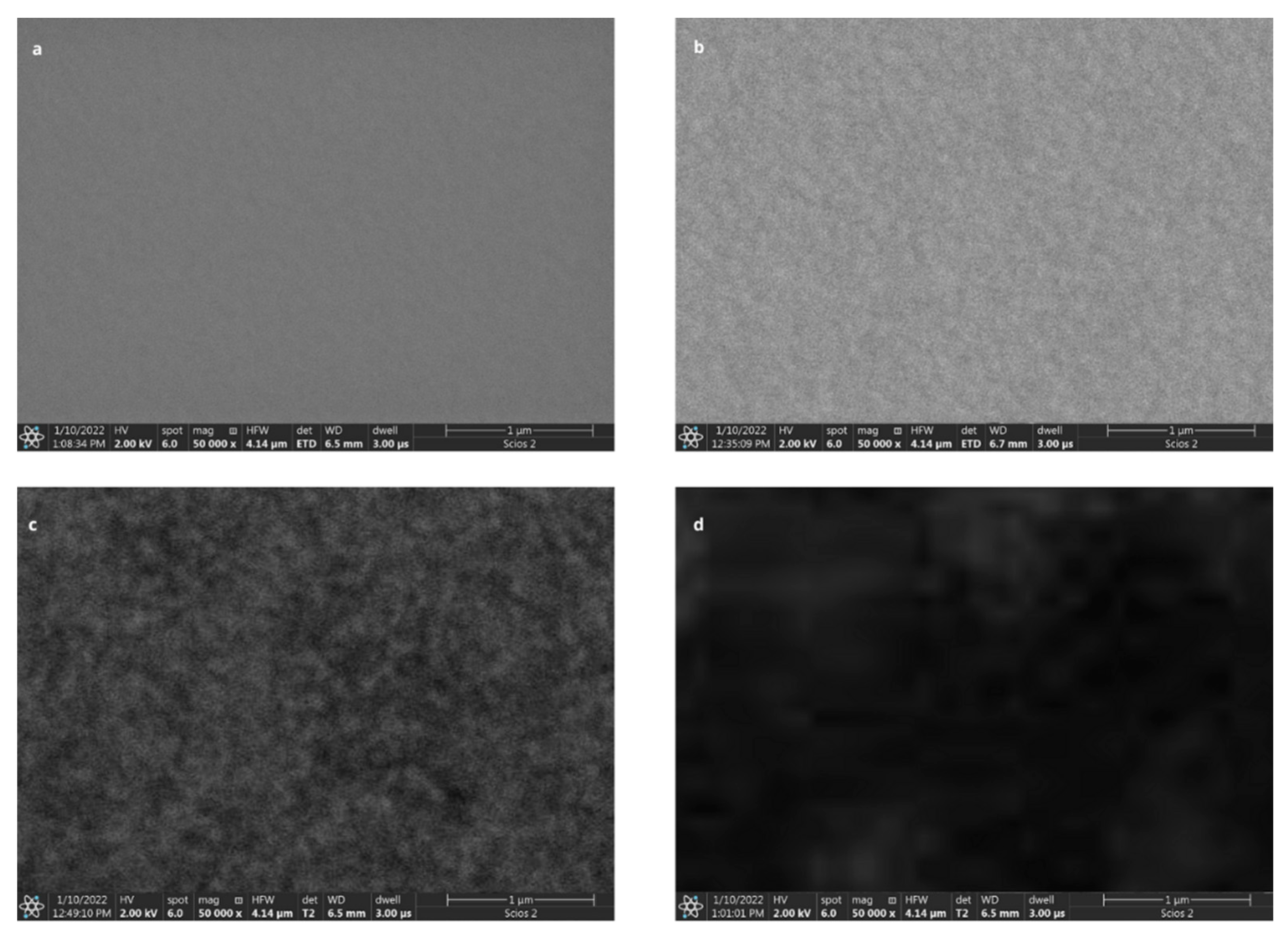 Biomedicines 11 00602 g003