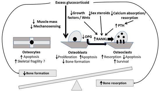 Biomedicines Free Full Text High Dose Intravenous Steroid  