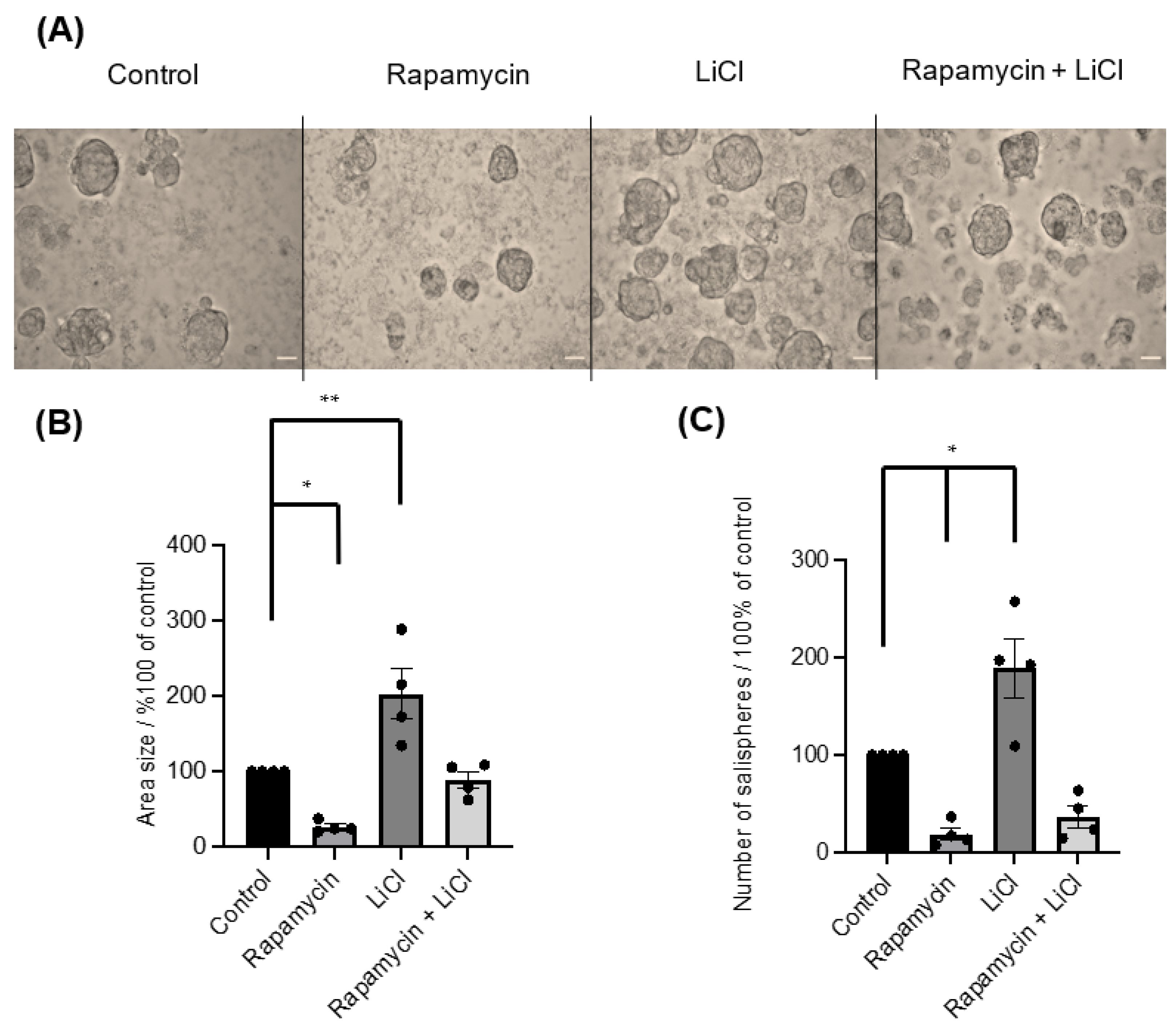 Biomedicines 11 00604 g002