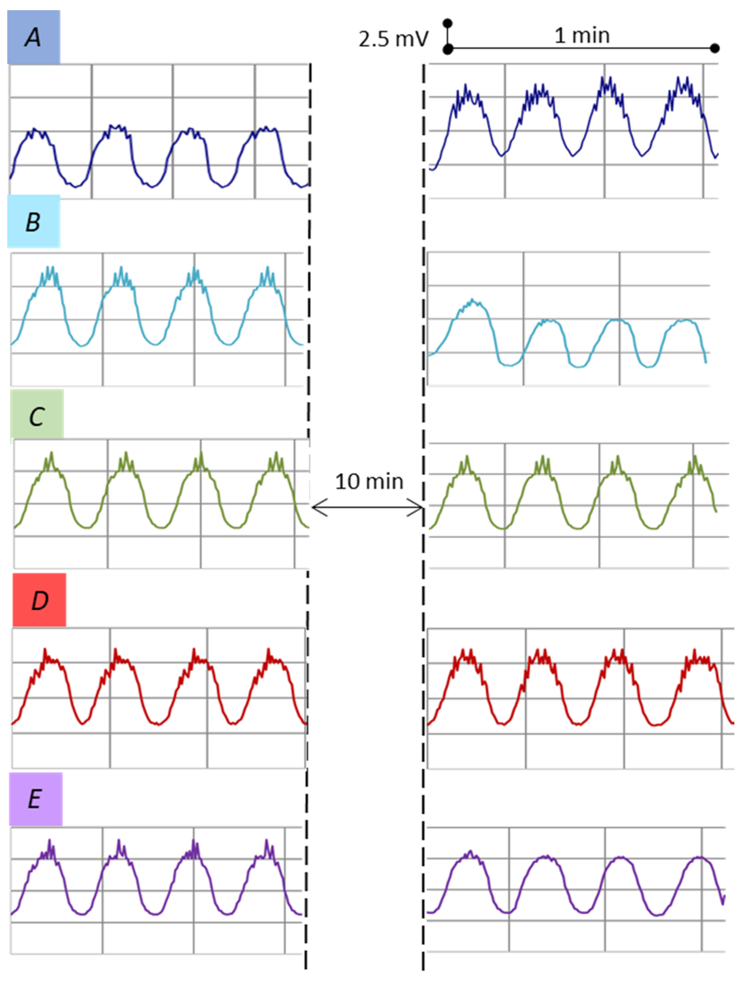 Biomedicines 11 00605 g004