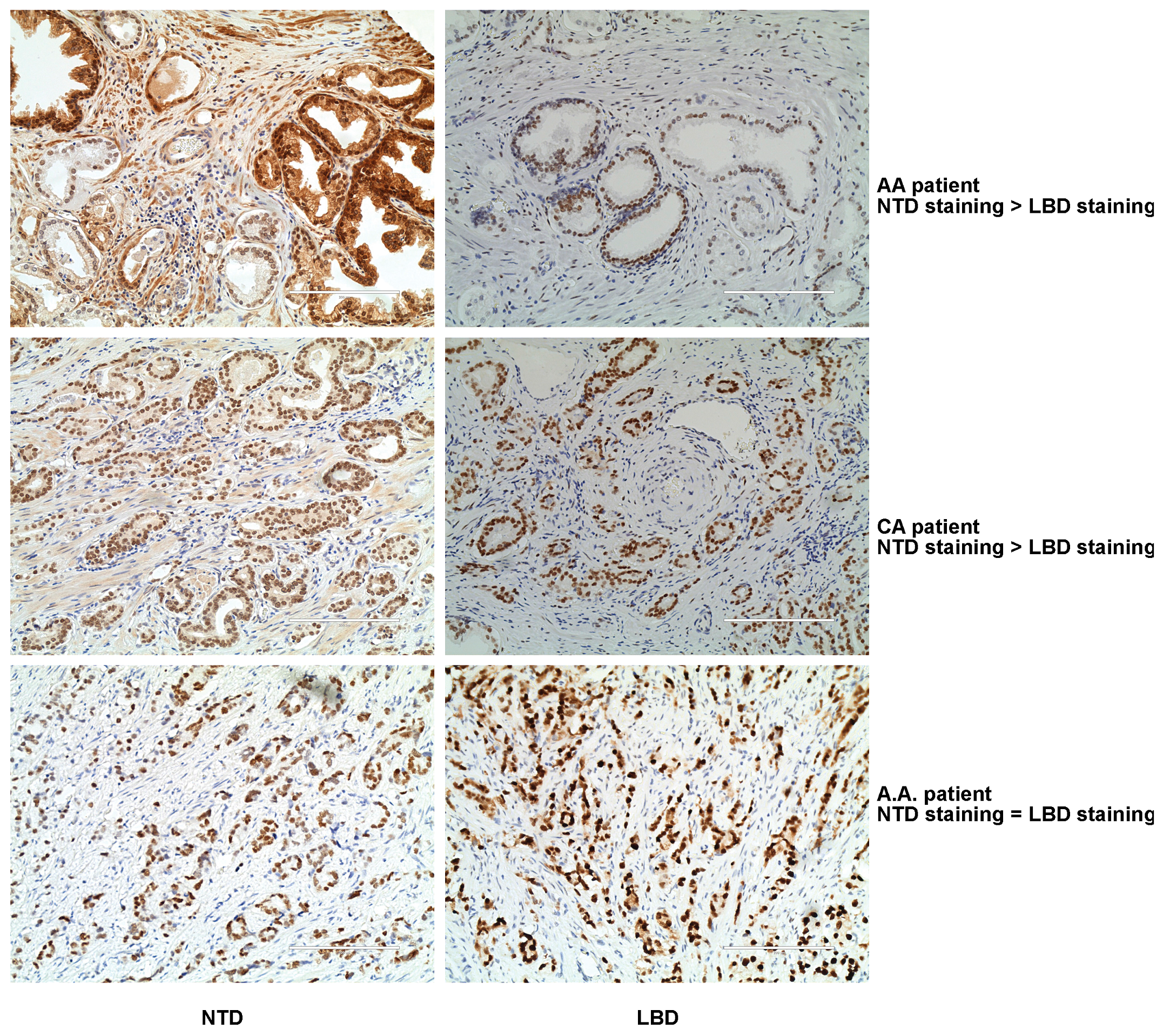Biomedicines 11 00648 g004