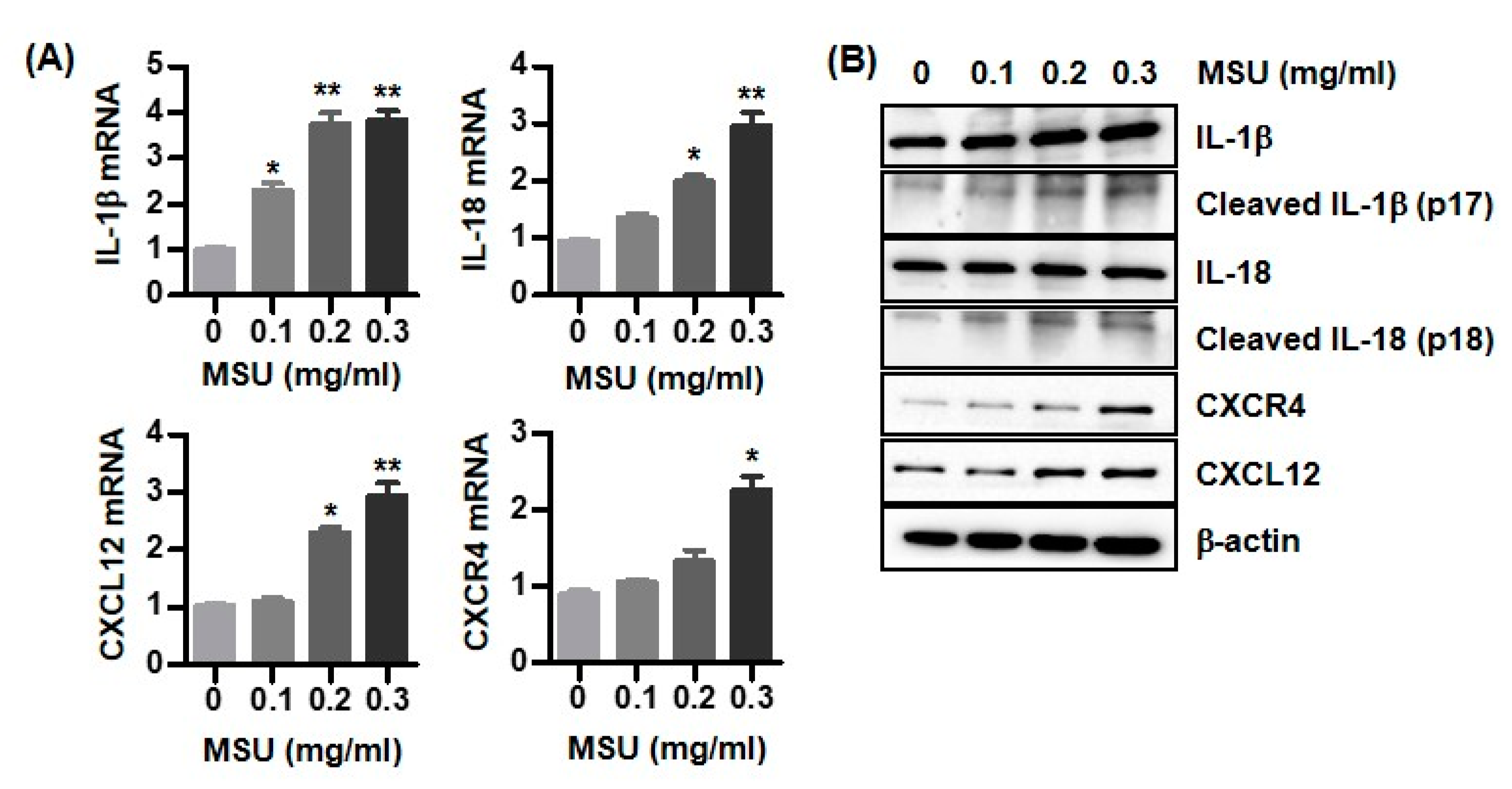 Biomedicines 11 00649 g002