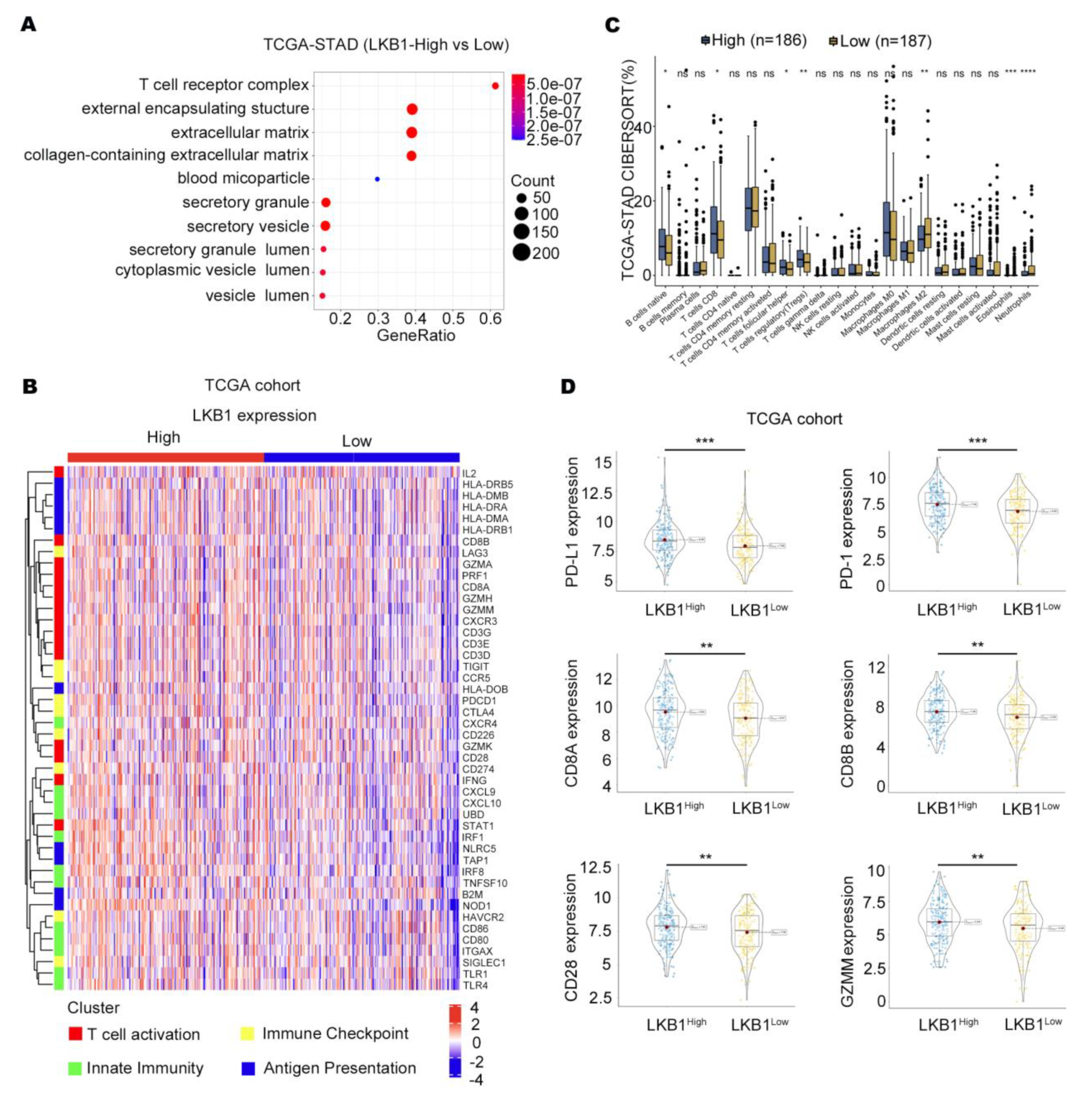Biomedicines 11 00688 g002