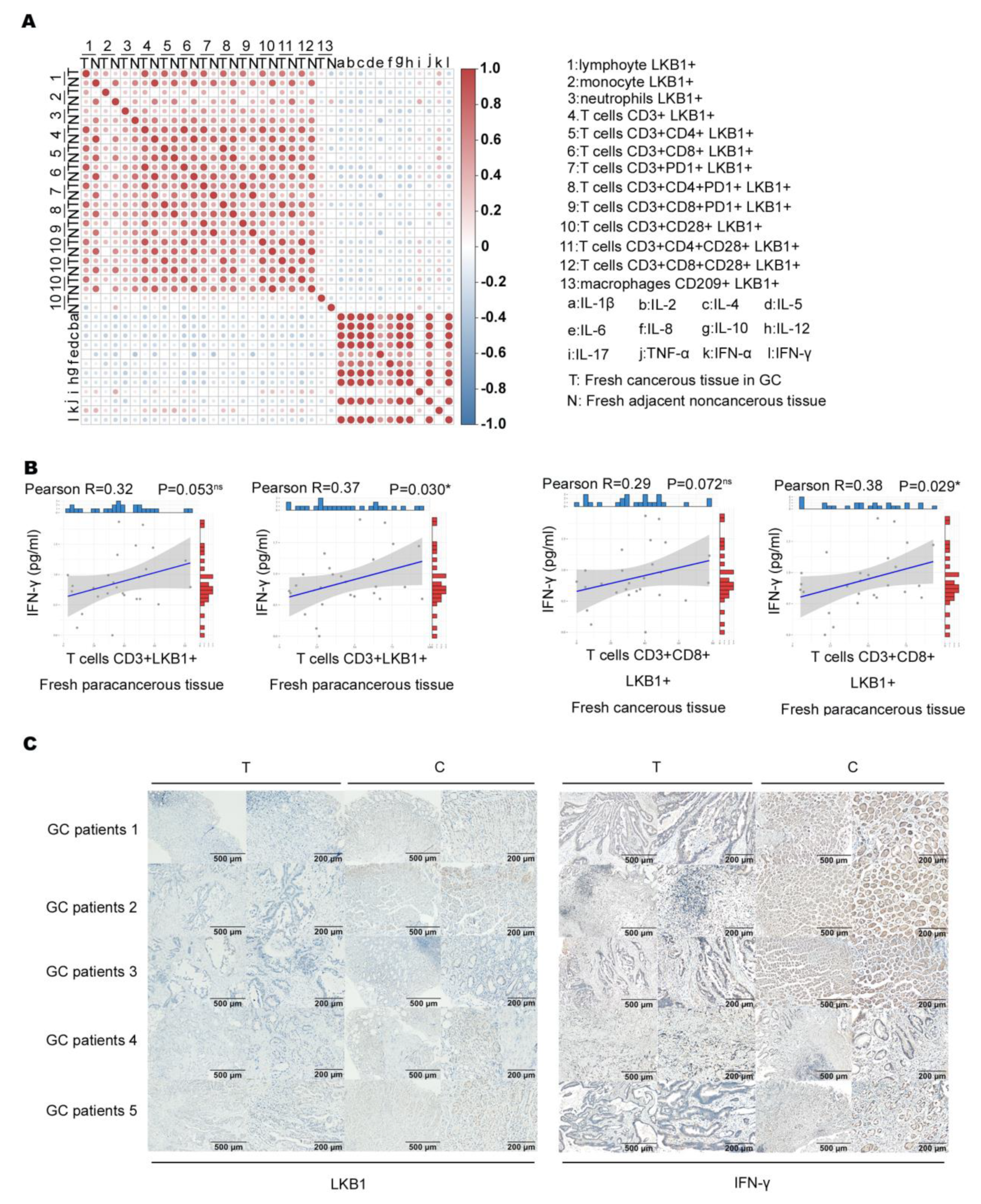 Biomedicines 11 00688 g004