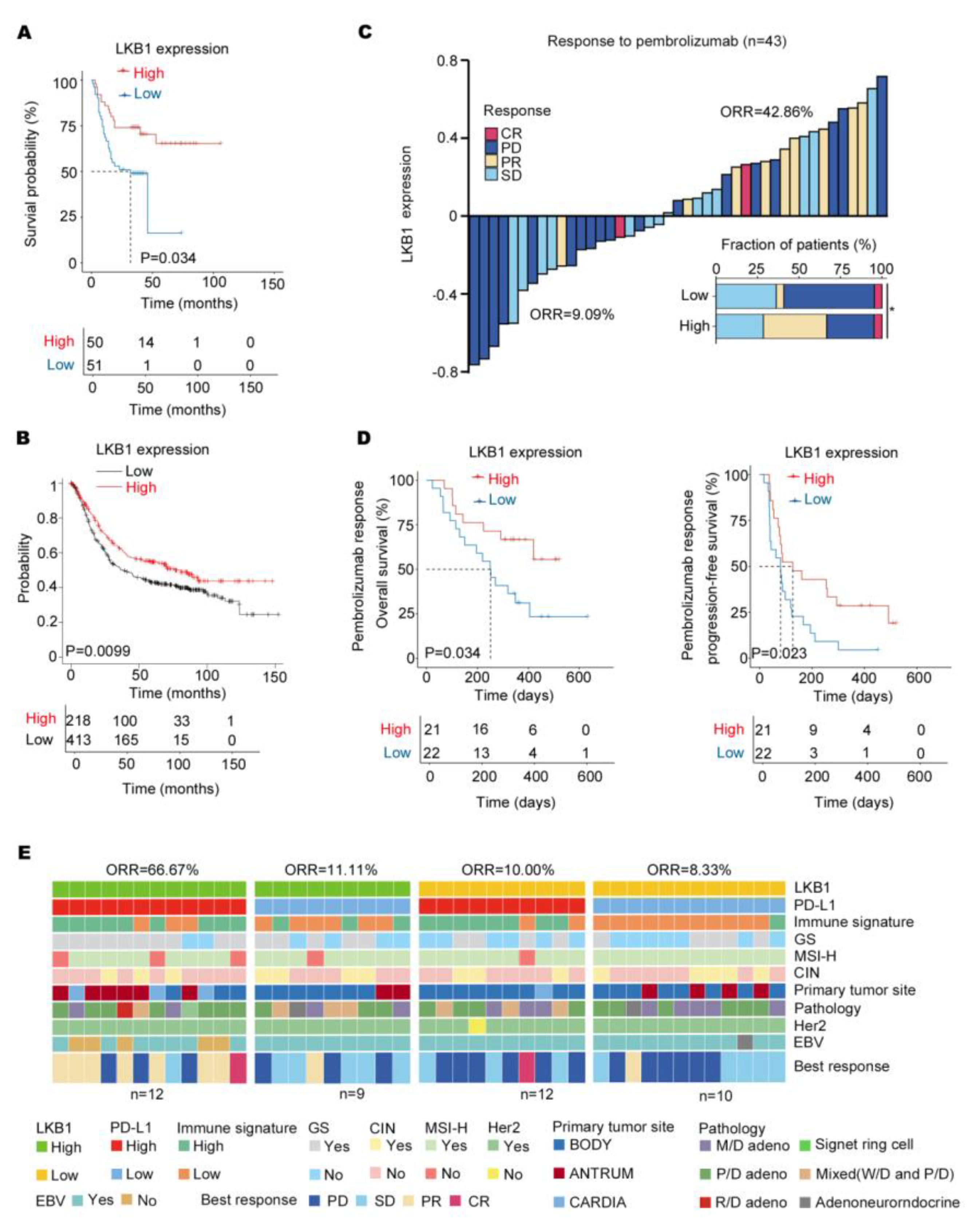Biomedicines 11 00688 g005