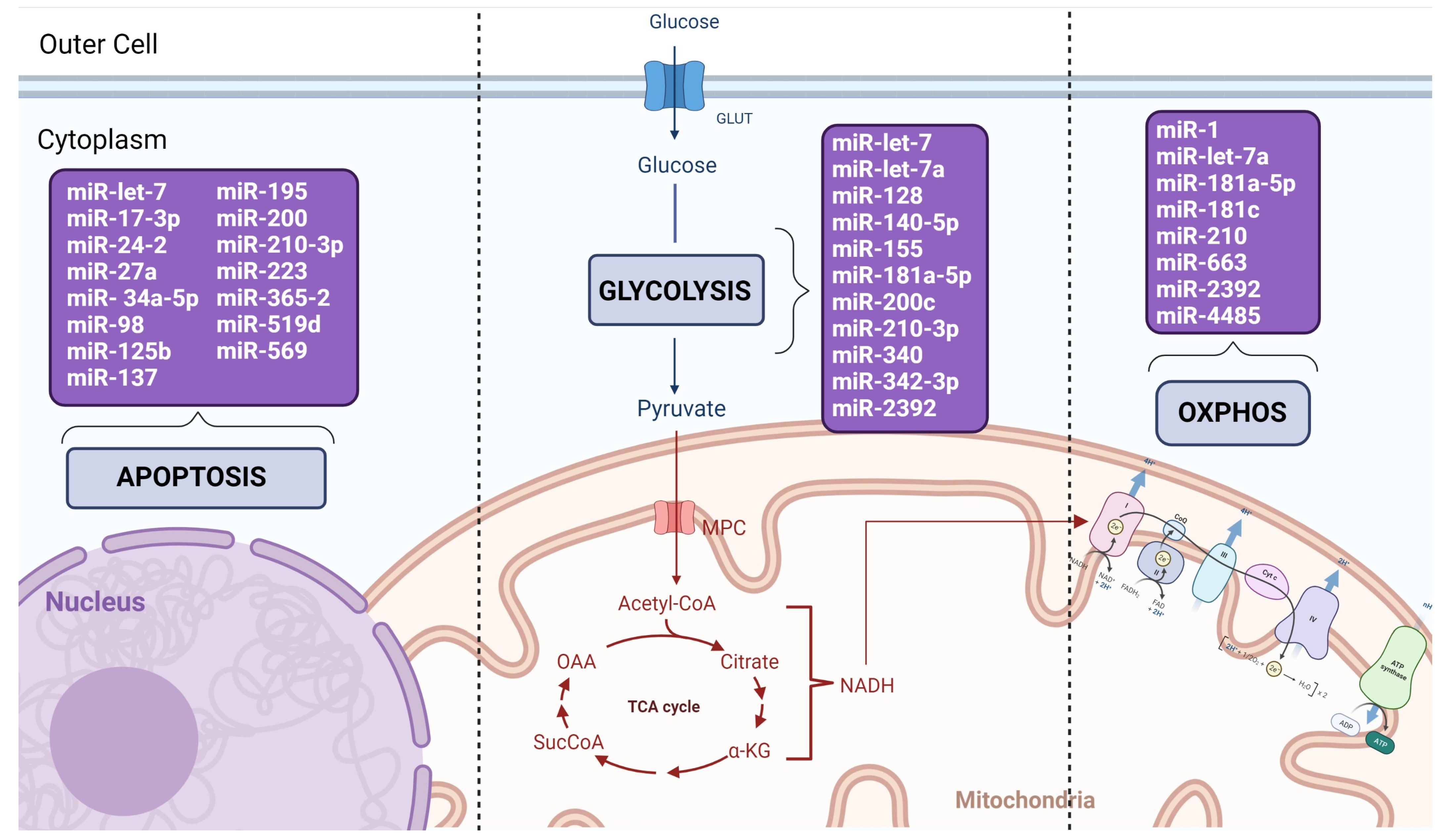 Biomedicines 11 00693 g002 Biomedicines 11 00693 g002