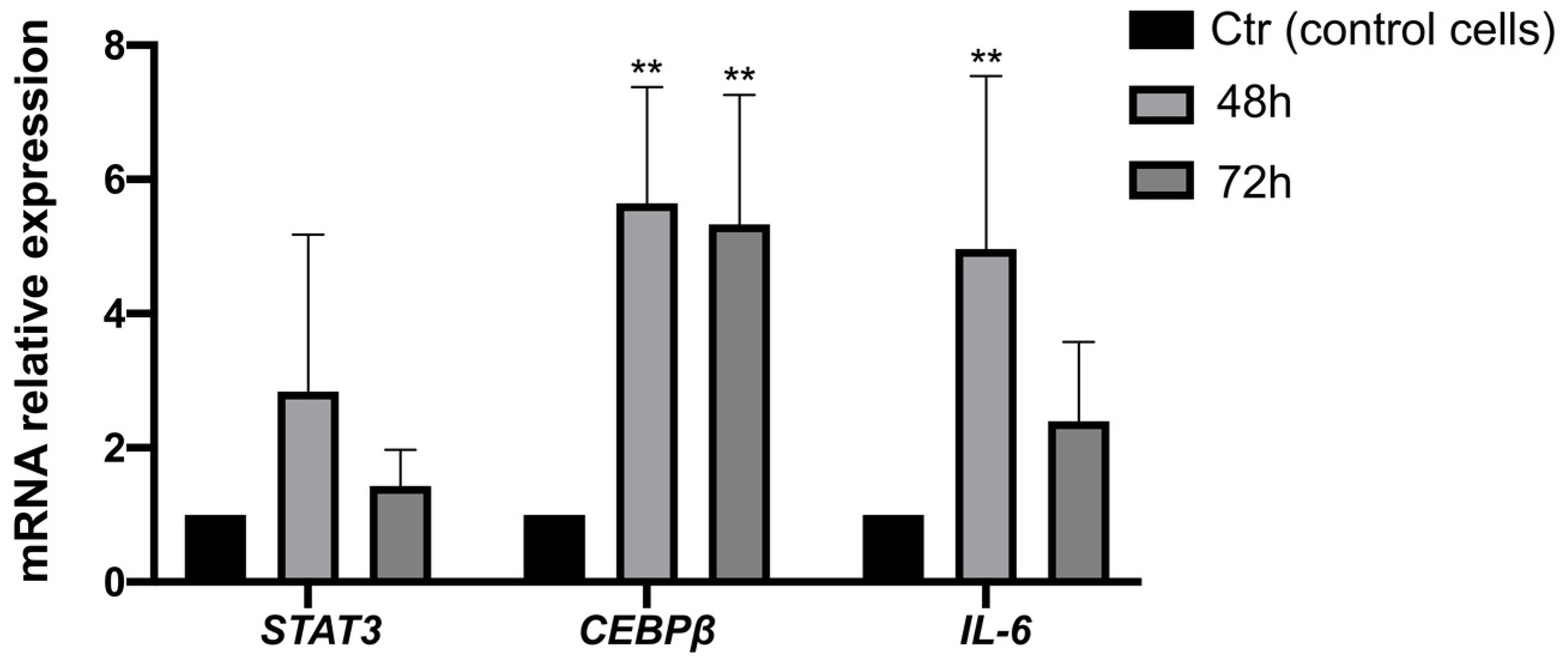 Biomedicines 11 00694 g004 Biomedicines 11 00694 g004