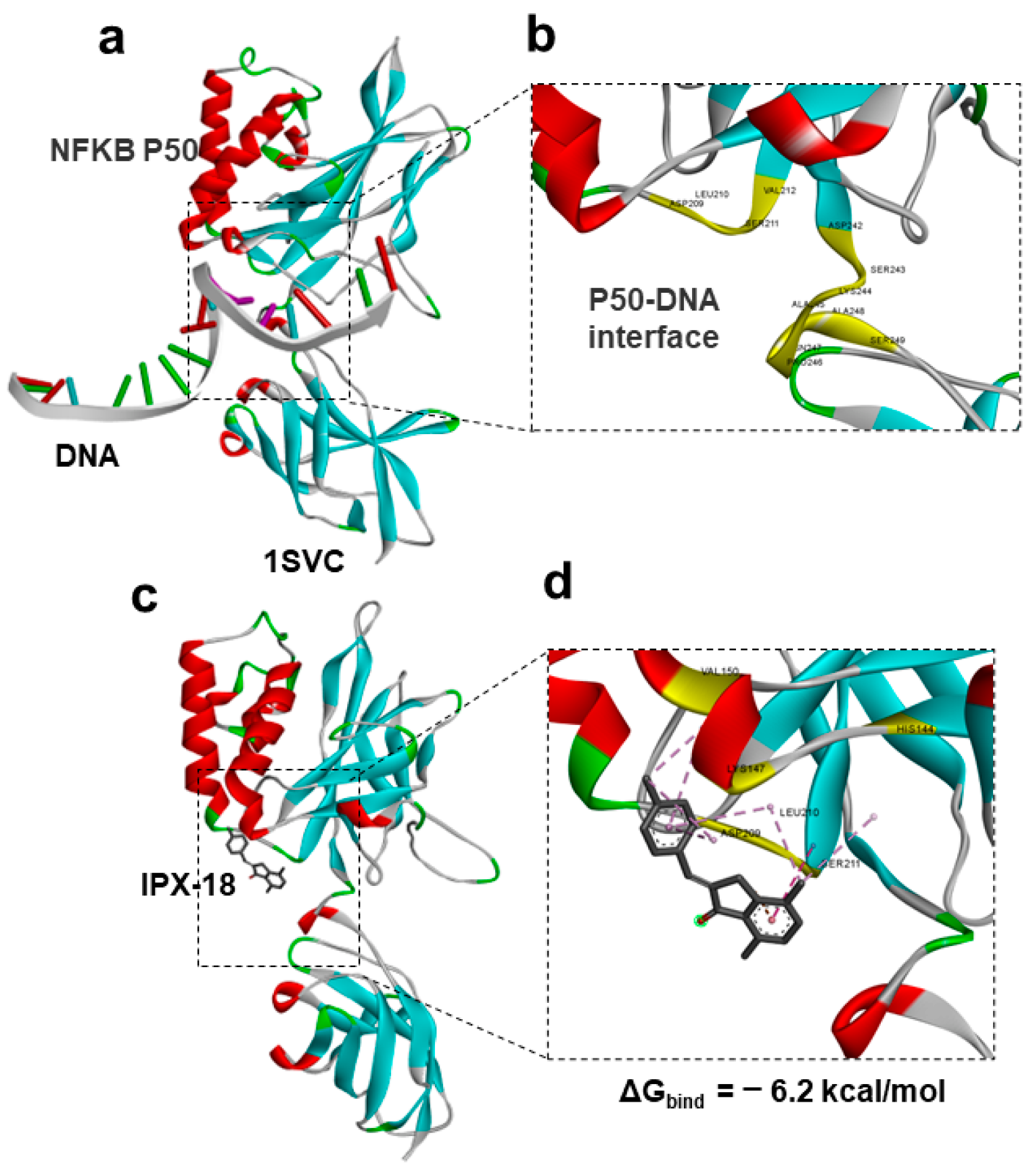 Biomedicines 11 00716 g006 Biomedicines 11 00716 g006