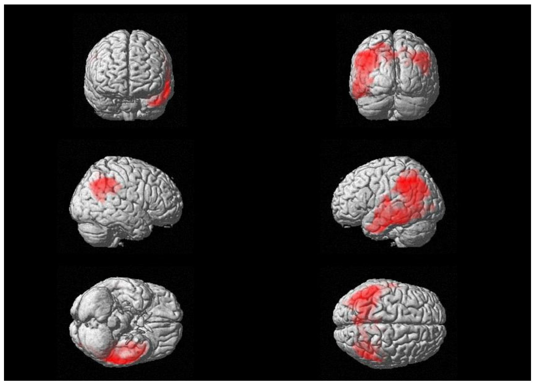 Biomedicines 11 00725 g002 Biomedicines 11 00725 g002