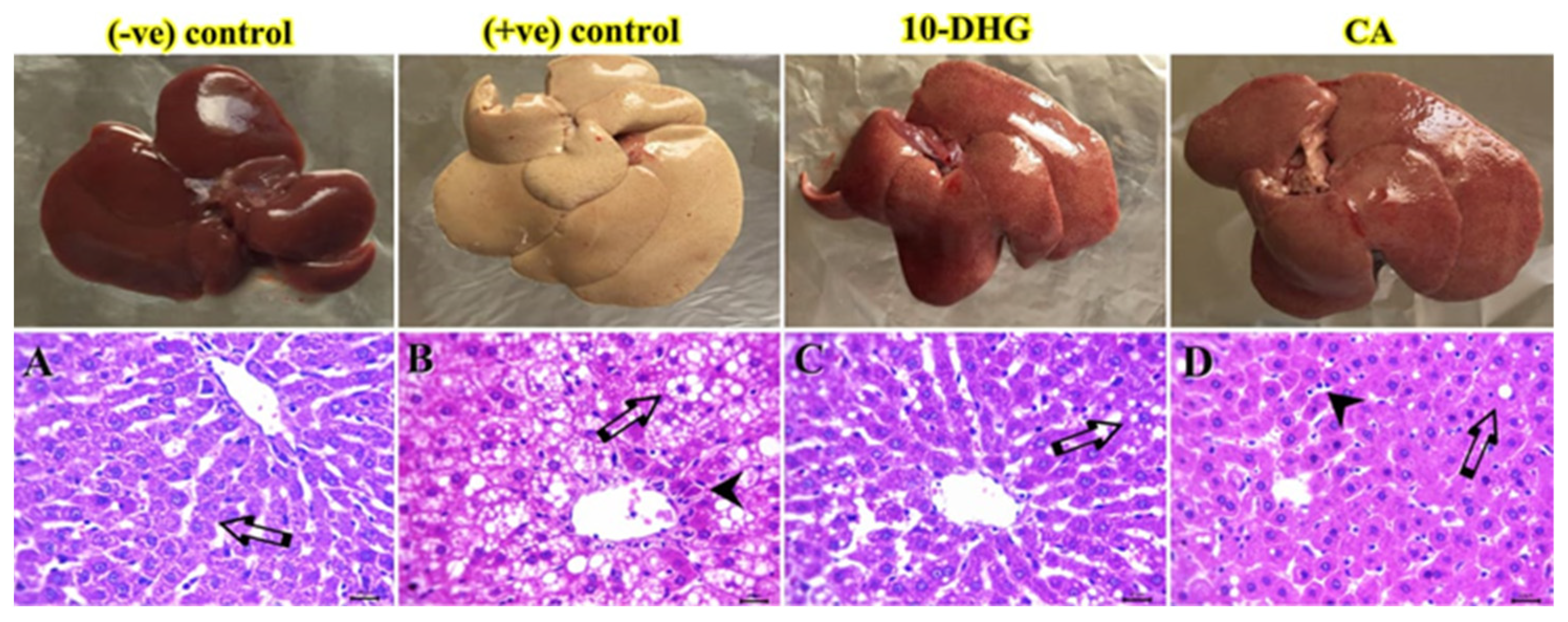 Biomedicines 11 00726 g005