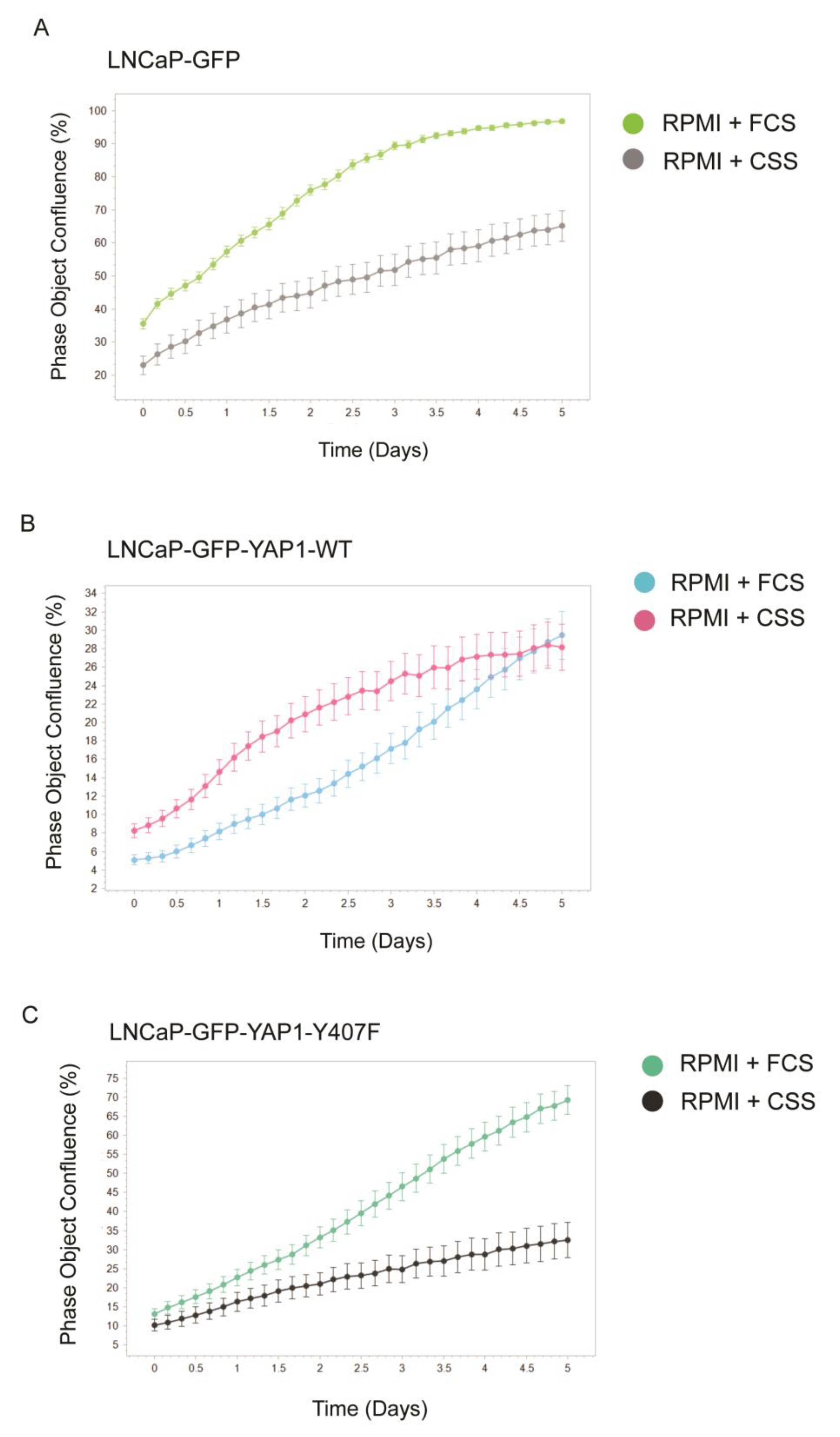 Biomedicines 11 00734 g003